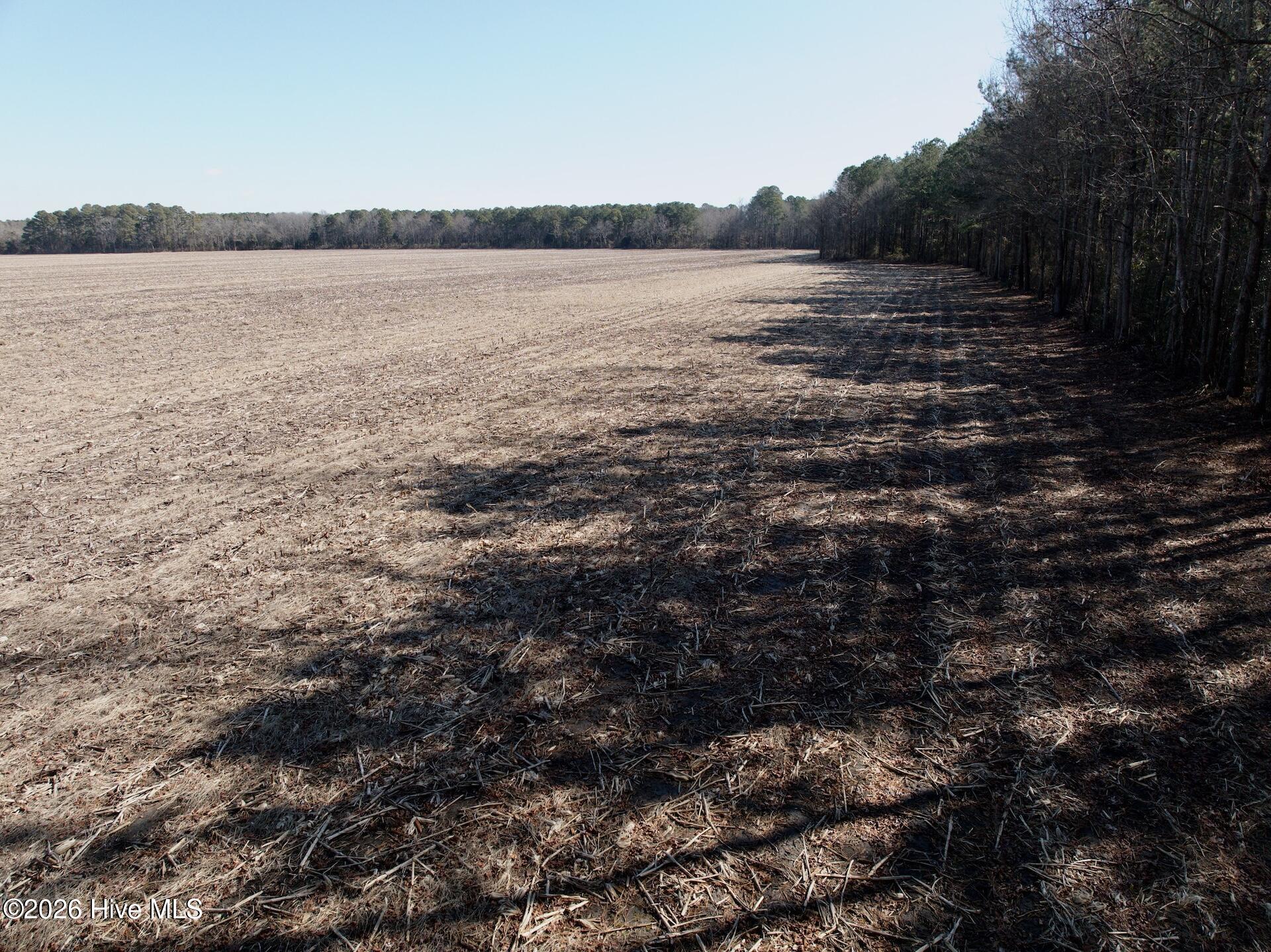 0 Sandy Ridge Road Property Photo 4