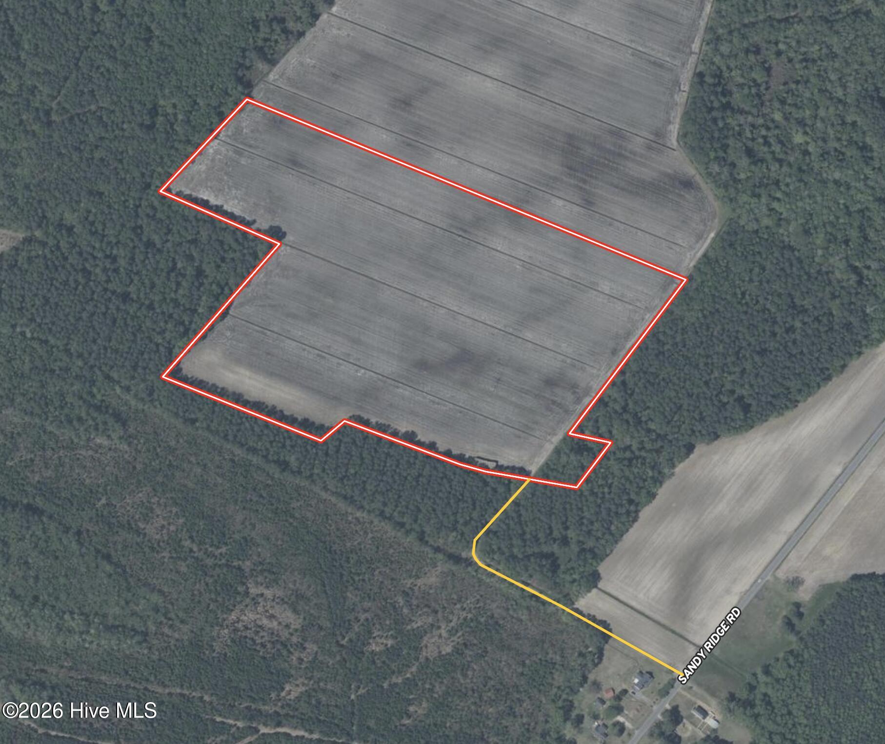 0 Sandy Ridge Road Property Photo 6