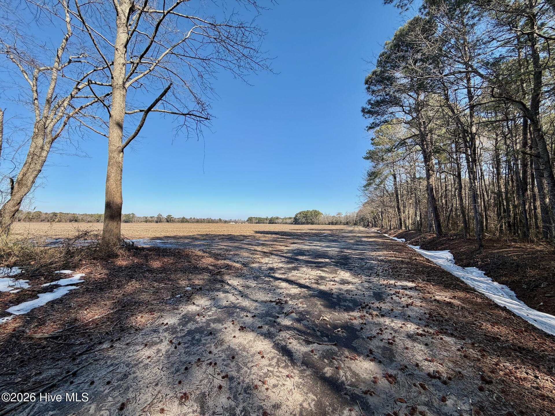 0 Sandy Ridge Road Property Photo 10
