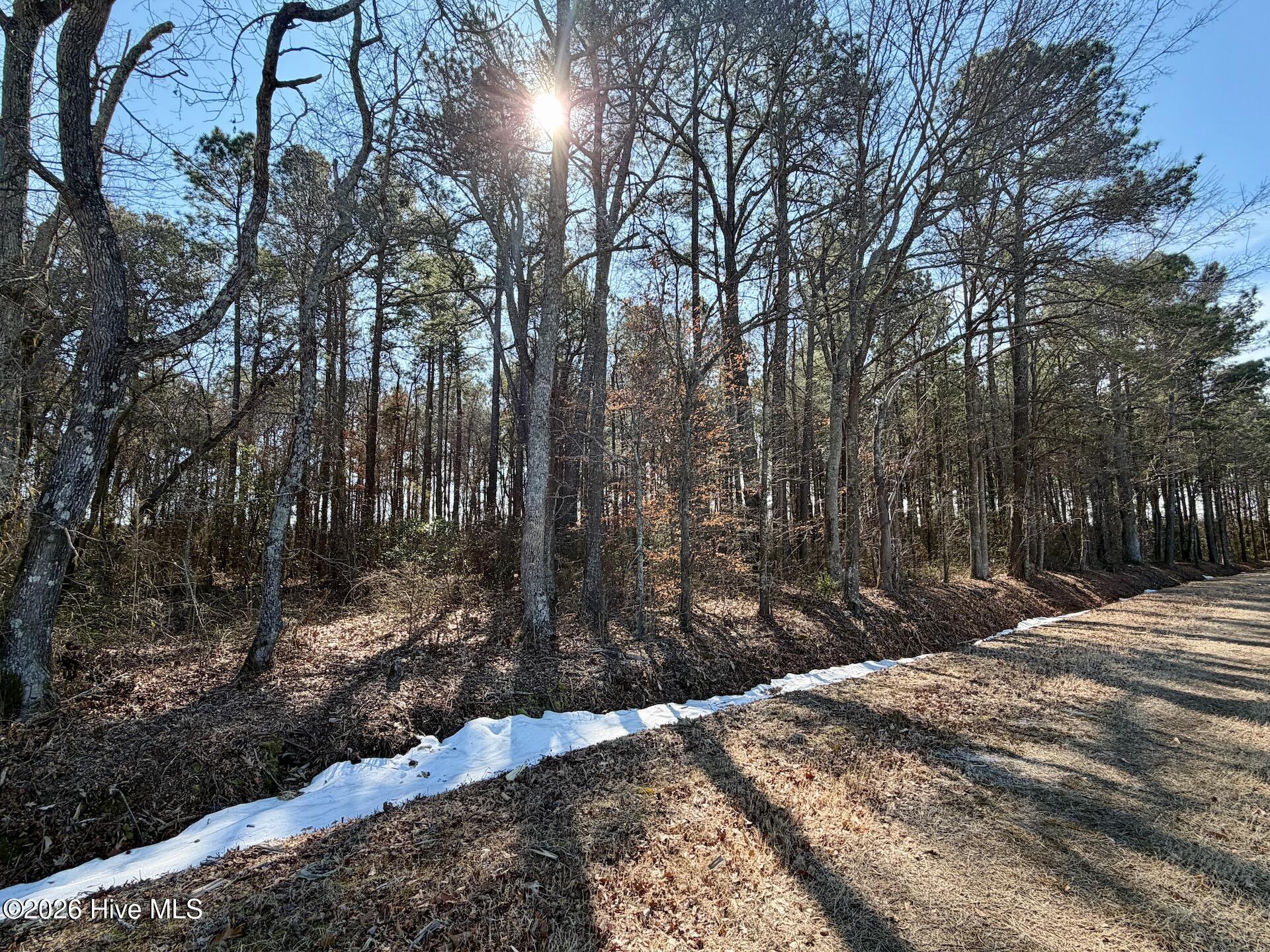 0 Sandy Ridge Road Property Photo 12