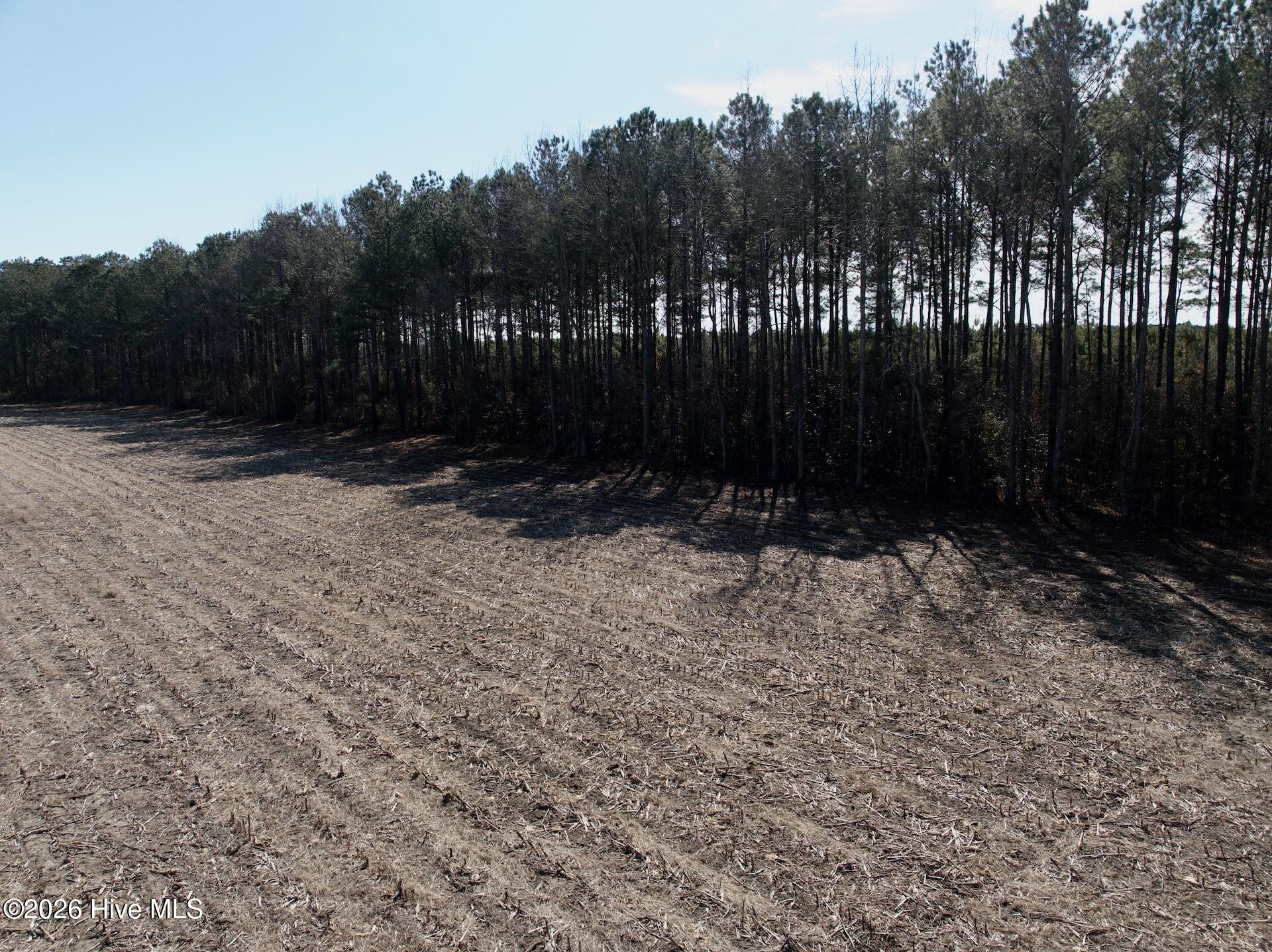 0 Sandy Ridge Road Property Photo 13