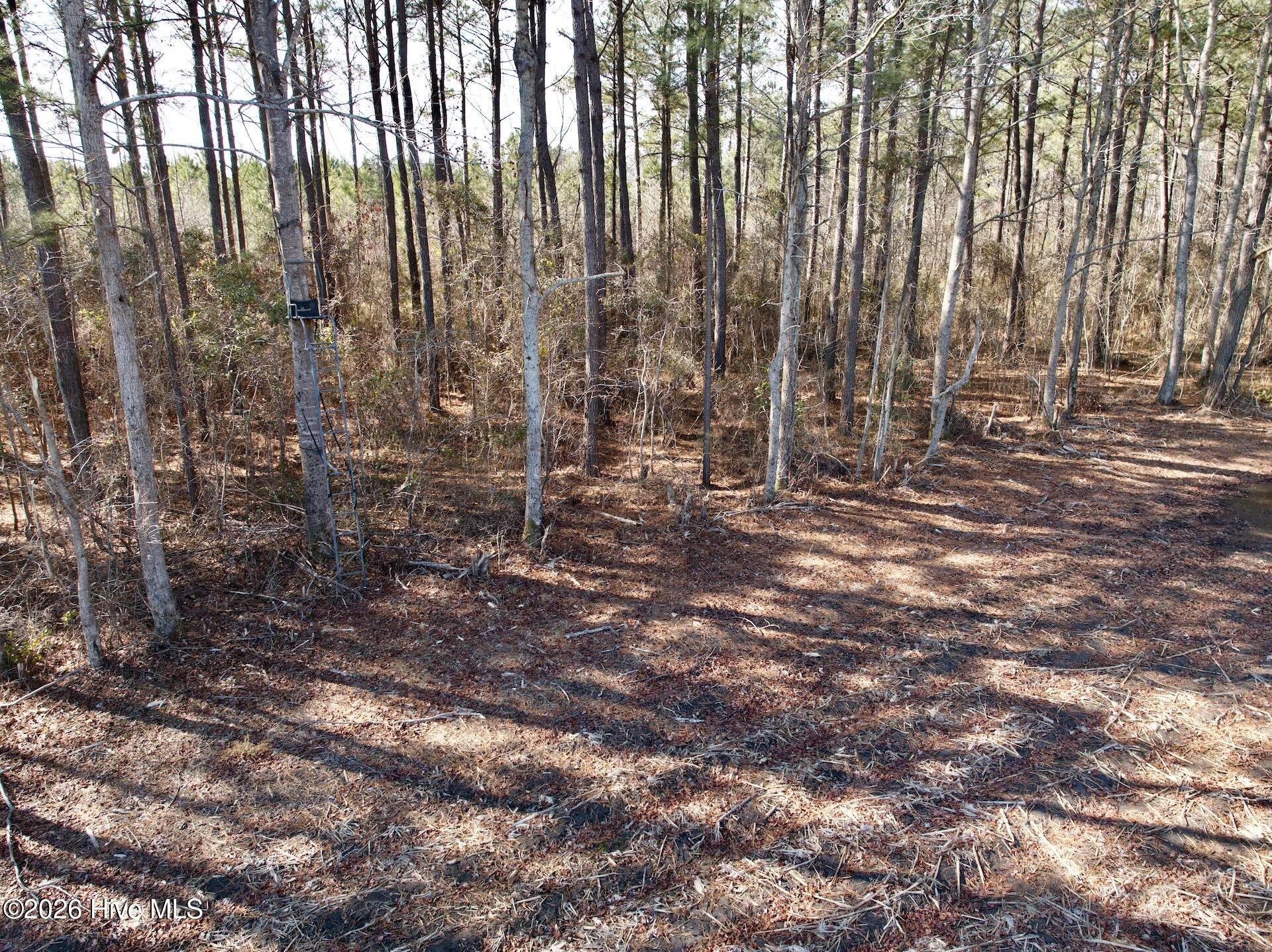 0 Sandy Ridge Road Property Photo 14
