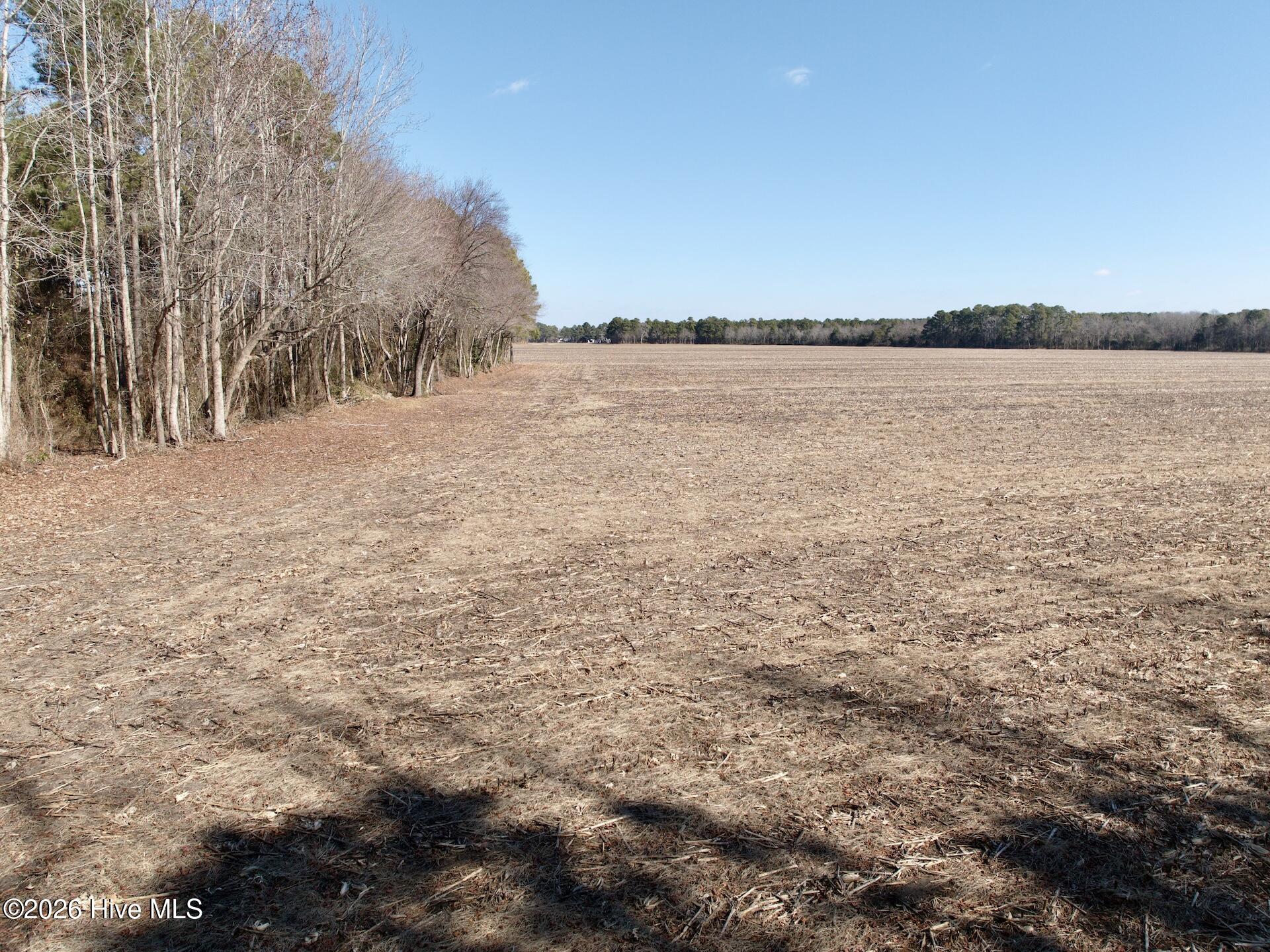 0 Sandy Ridge Road Property Photo 16