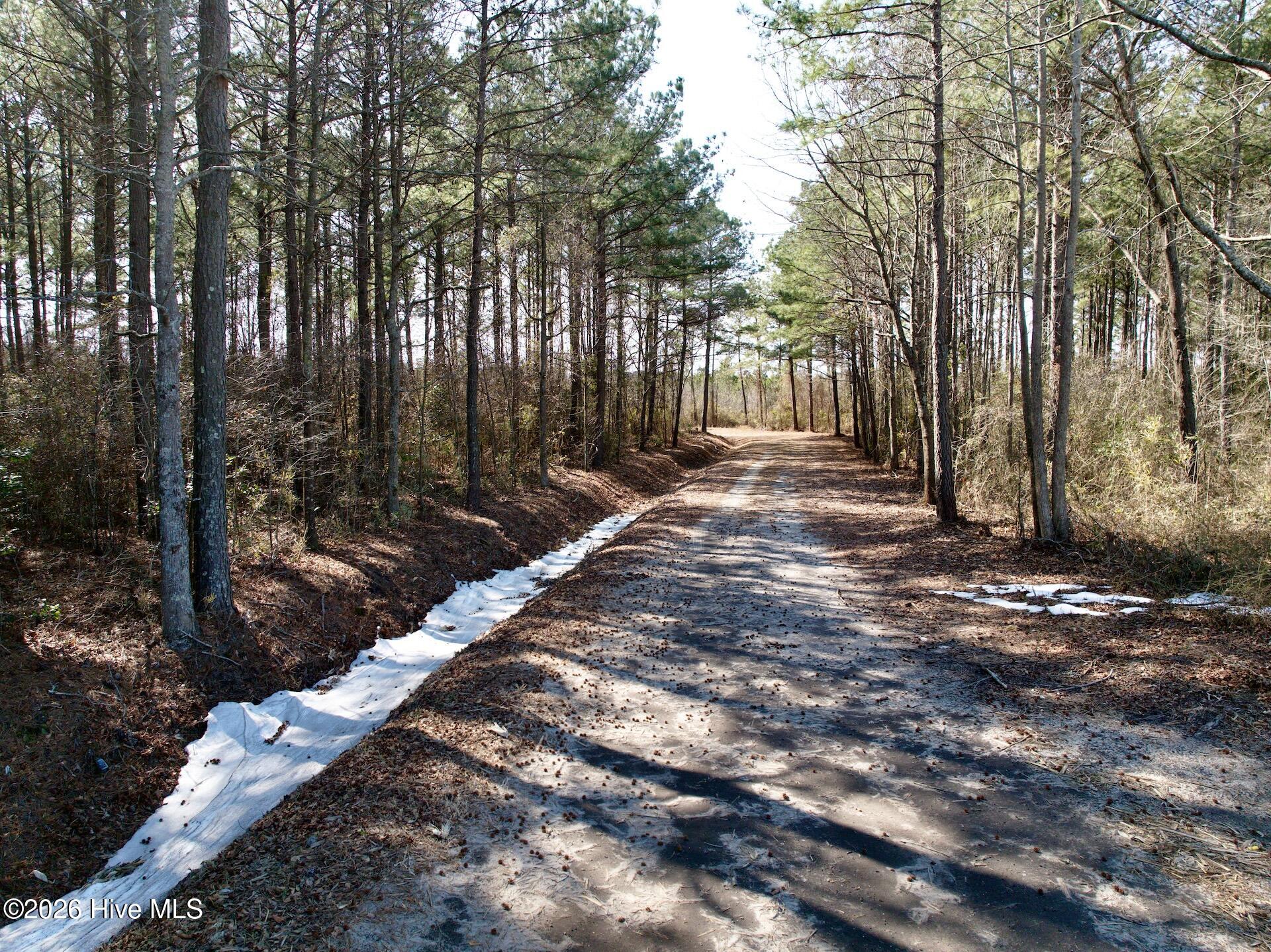 0 Sandy Ridge Road Property Photo 19