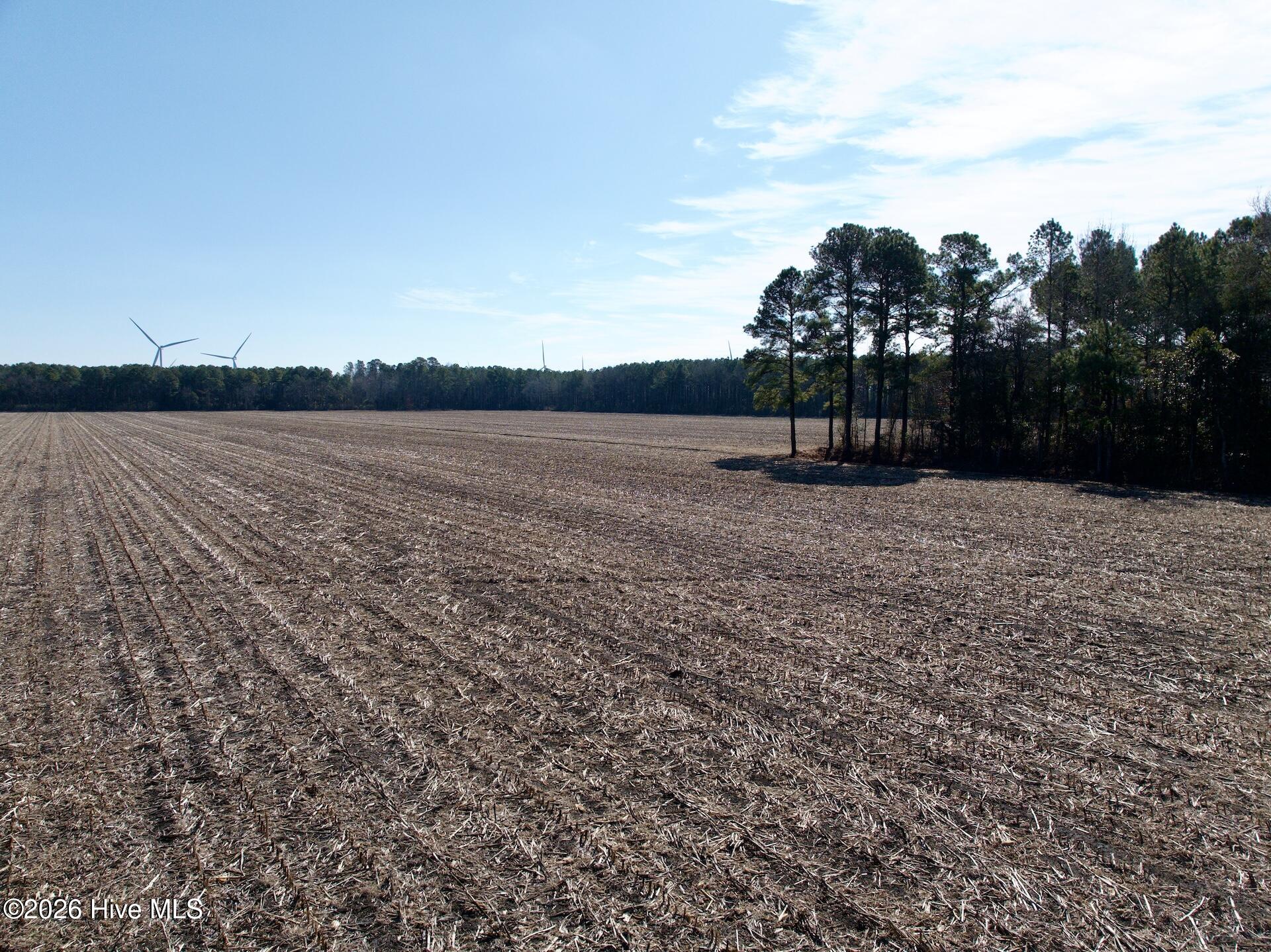 0 Sandy Ridge Road Property Photo 23