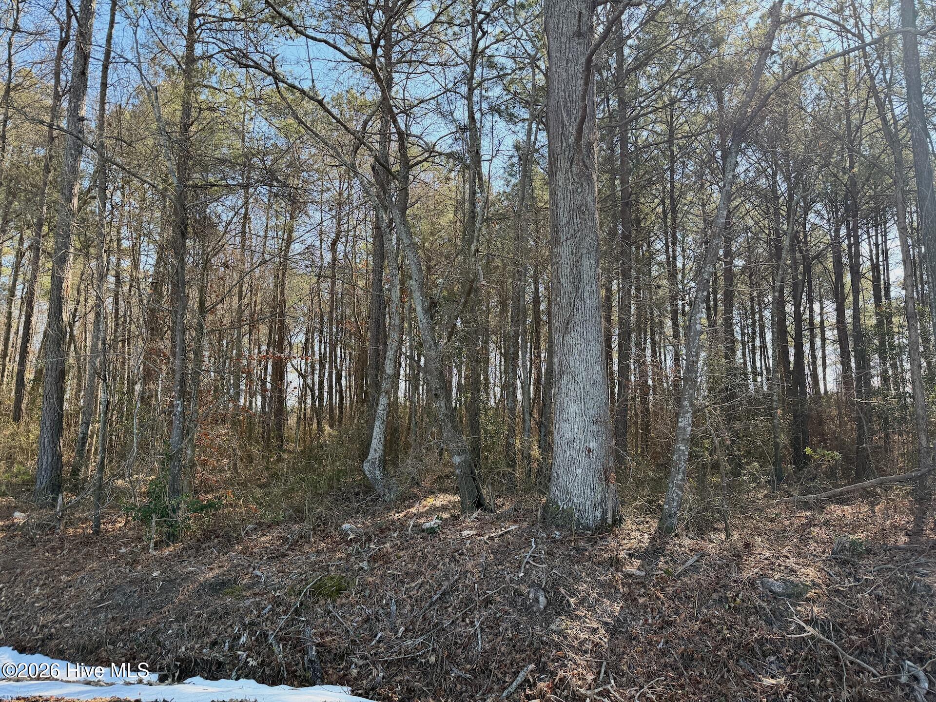 0 Sandy Ridge Road Property Photo 27