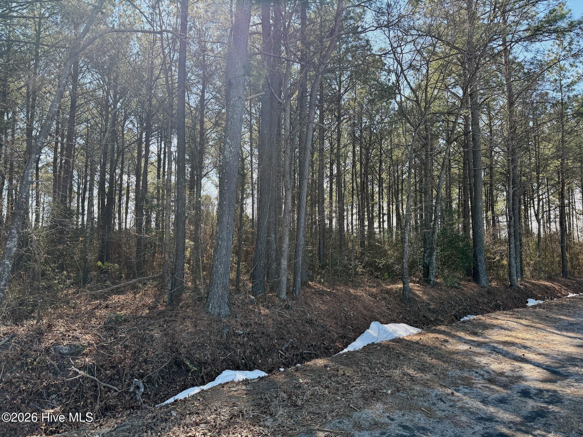 0 Sandy Ridge Road Property Photo 28