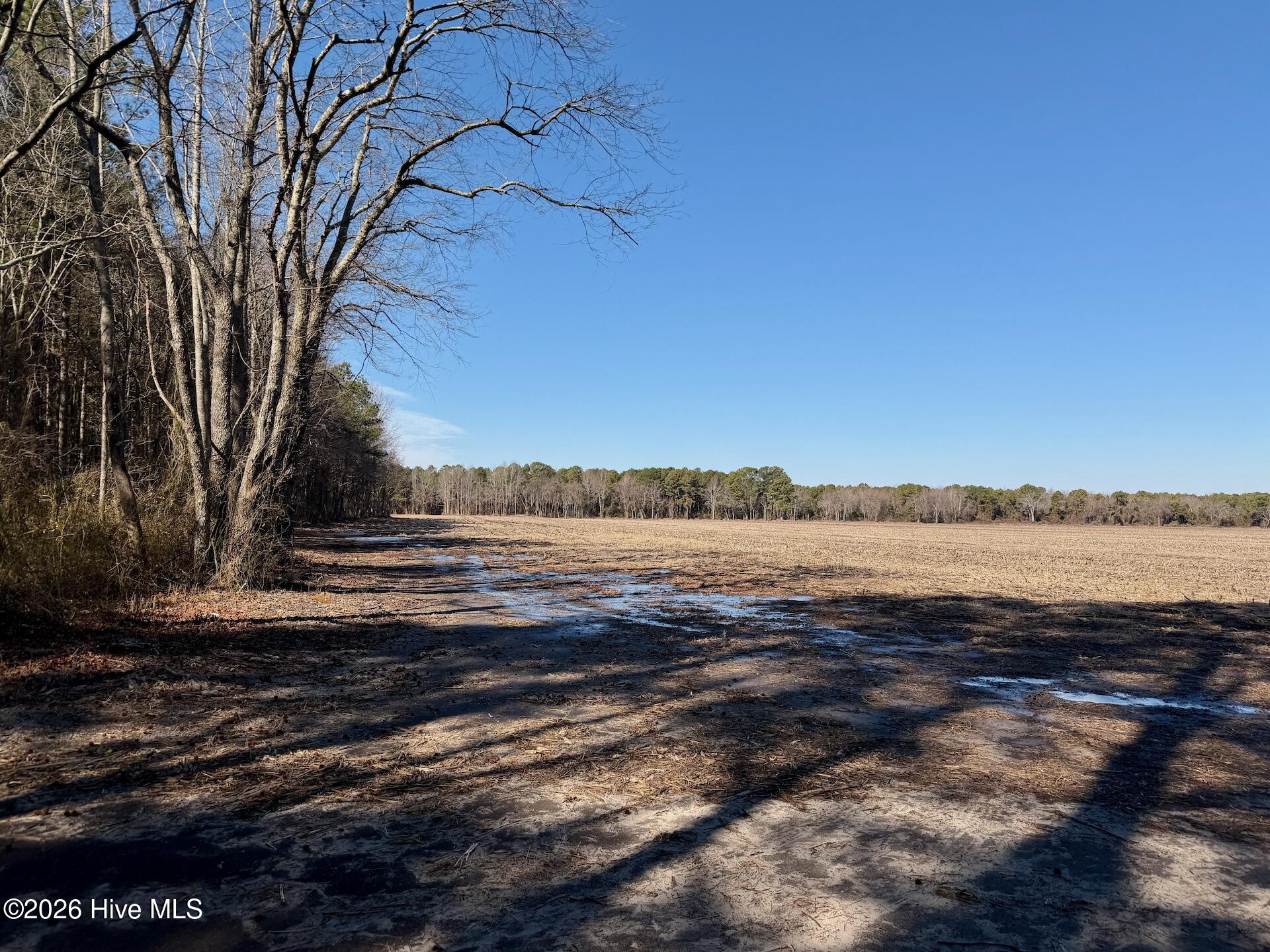 0 Sandy Ridge Road Property Photo 30