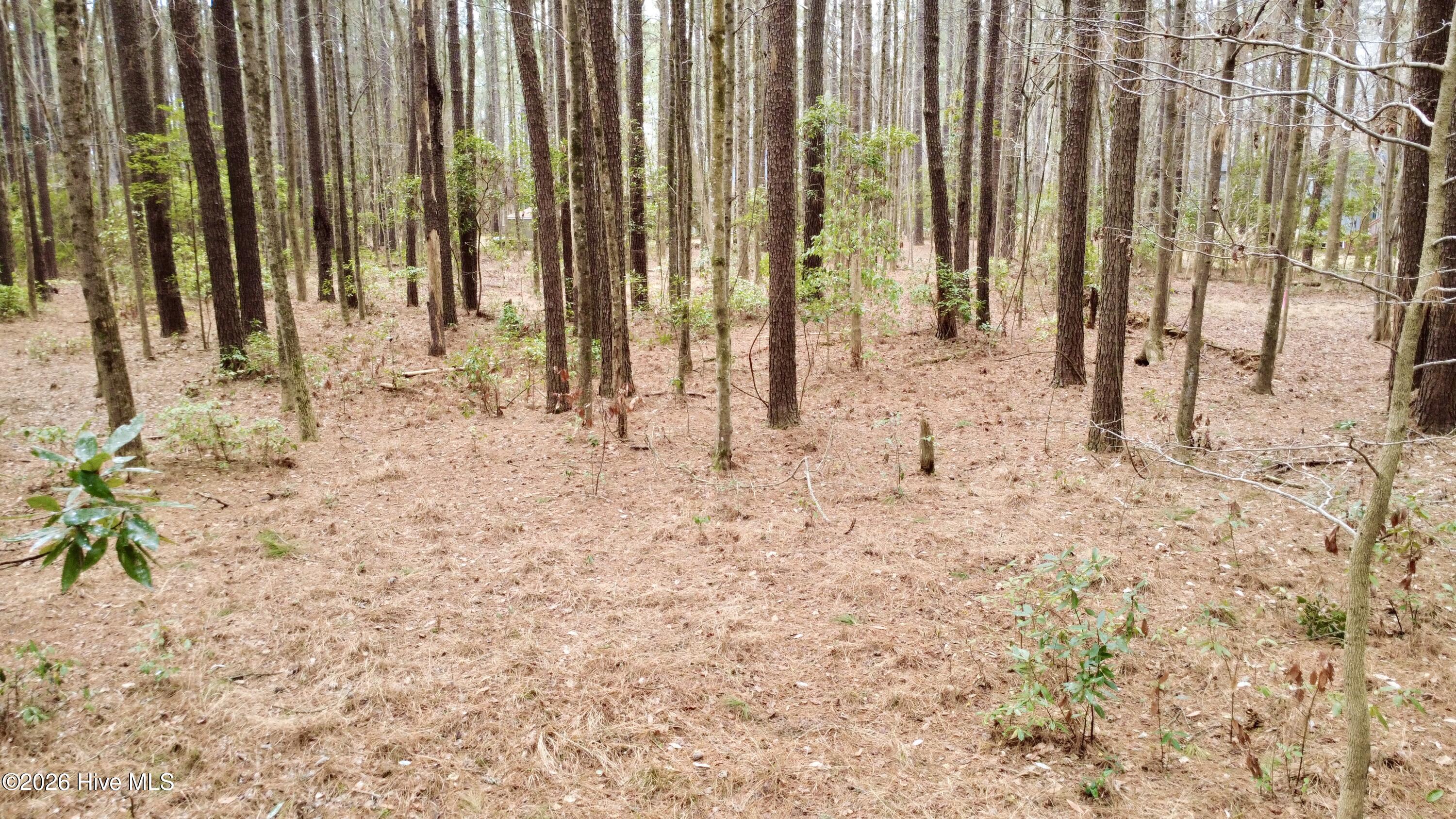 27 Pelican Bay Road Property Photo 2