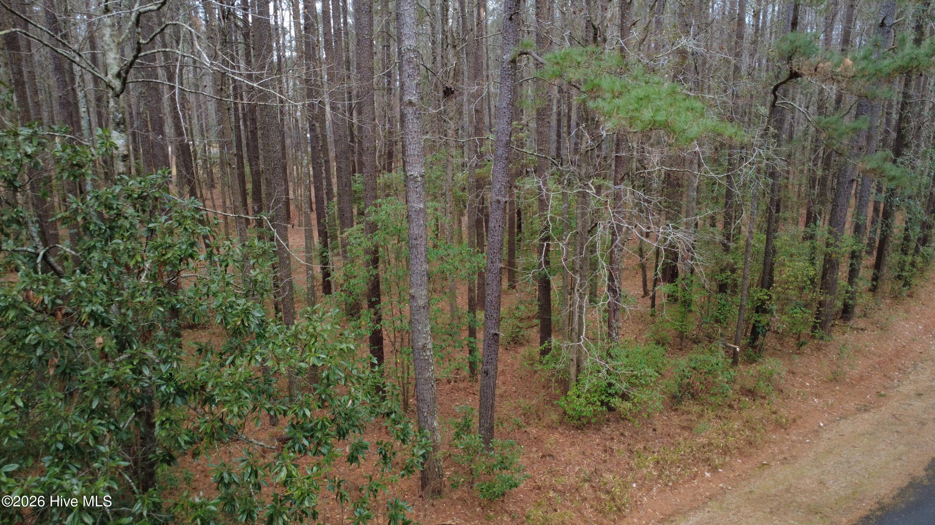 27 Pelican Bay Road Property Photo 13