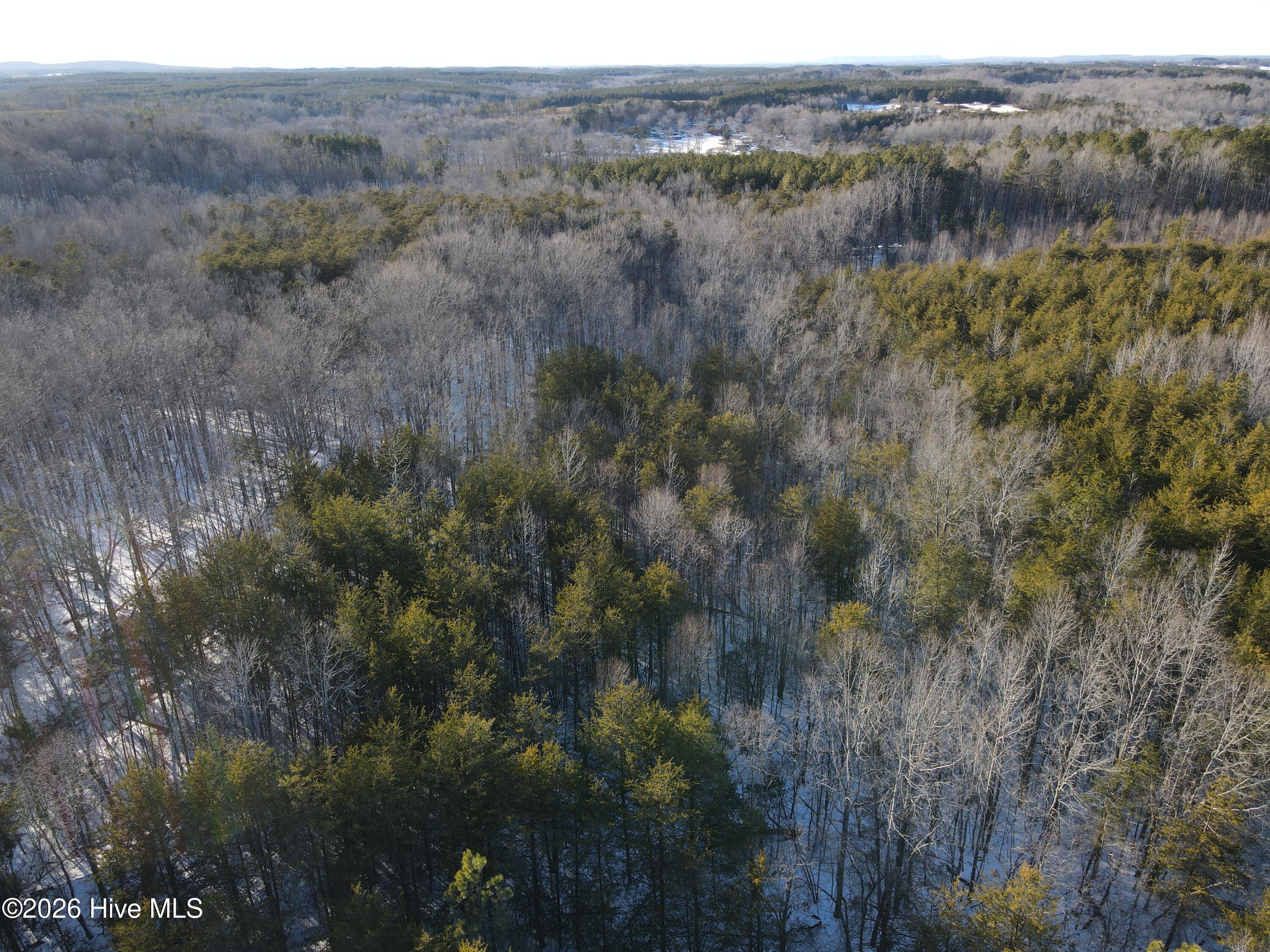 380 Redd Lane Property Photo 16