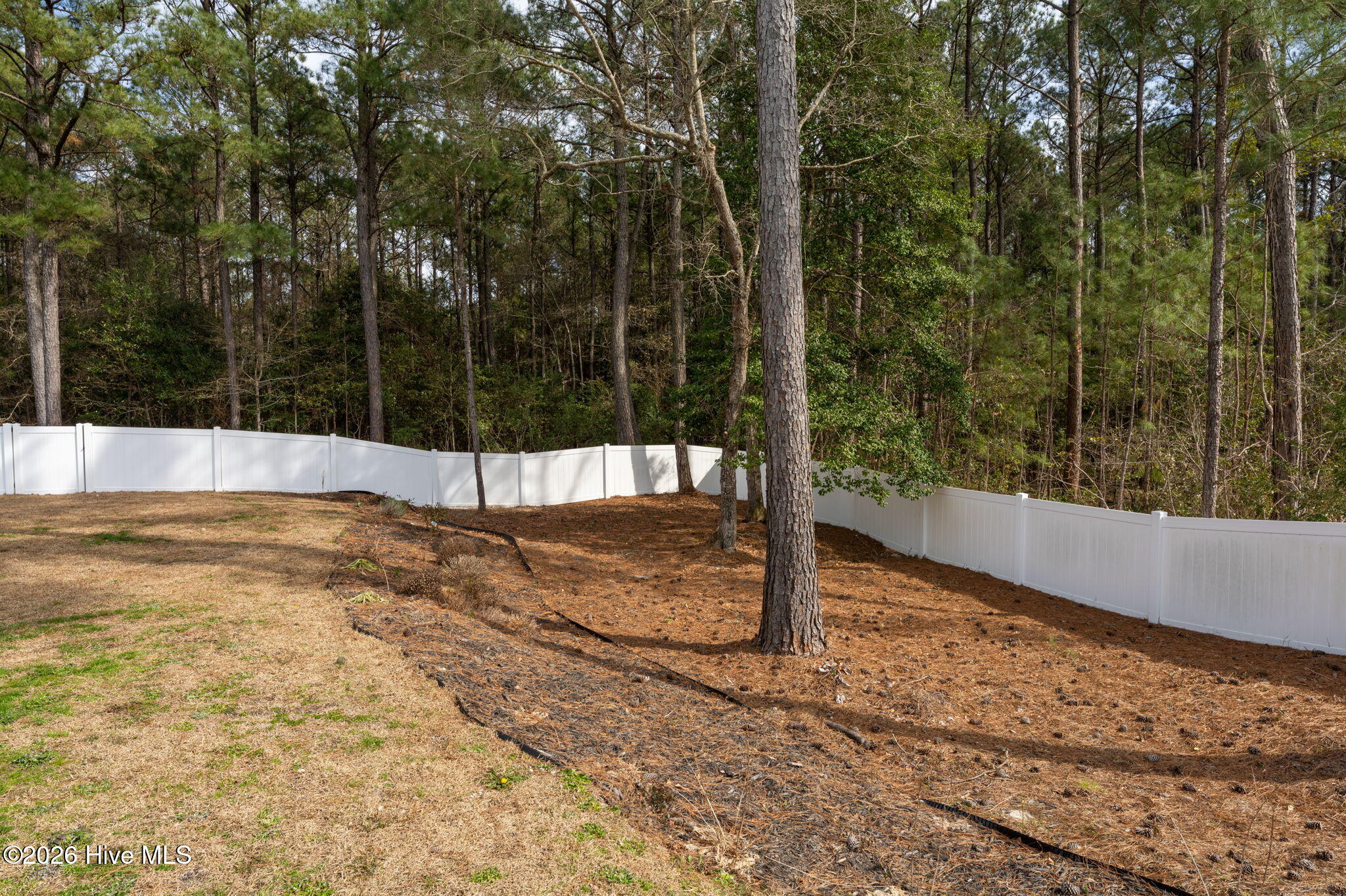 541 Moss Lake Lane Property Photo 49