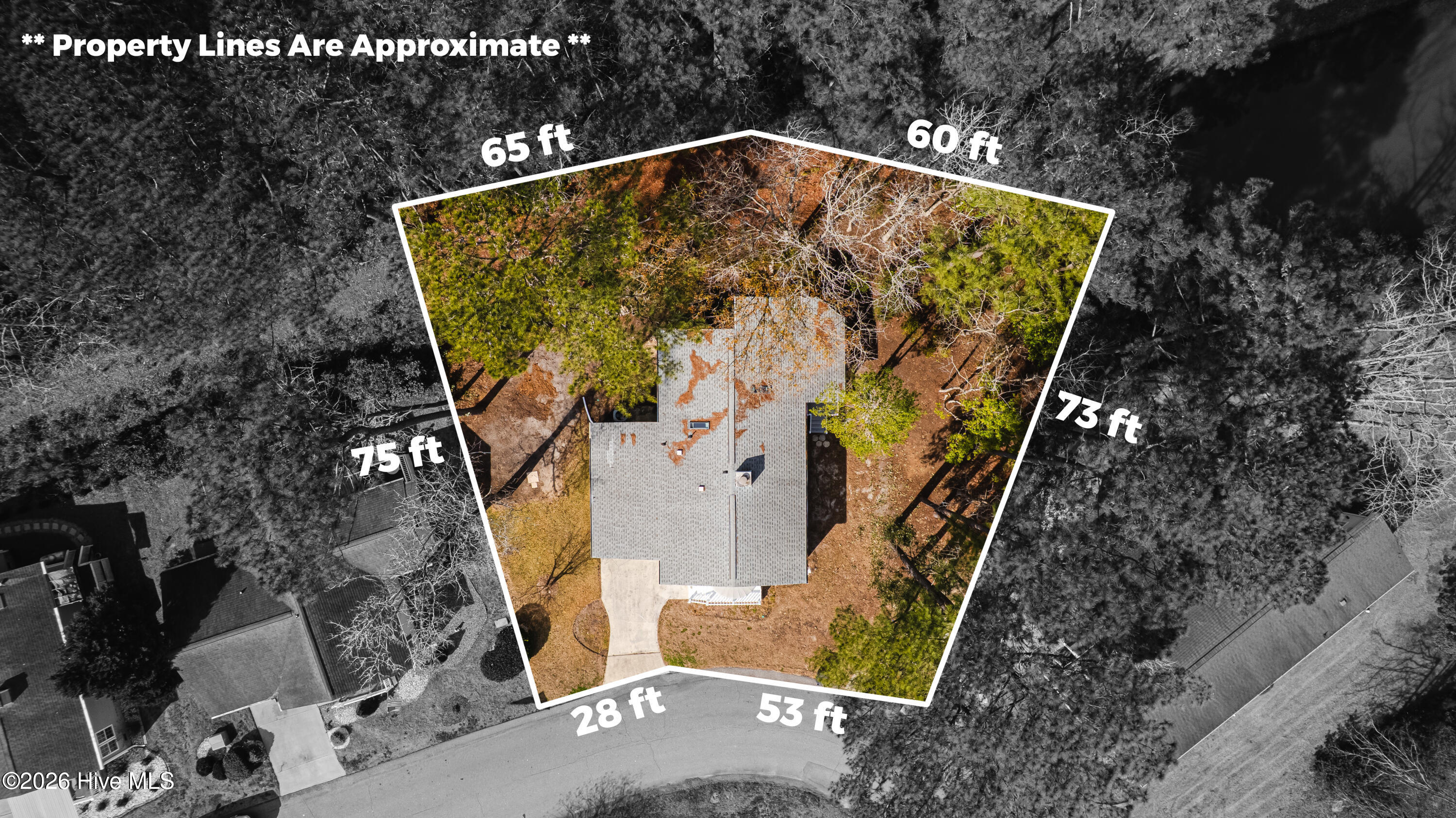 501 Deer Path Property Photo 47