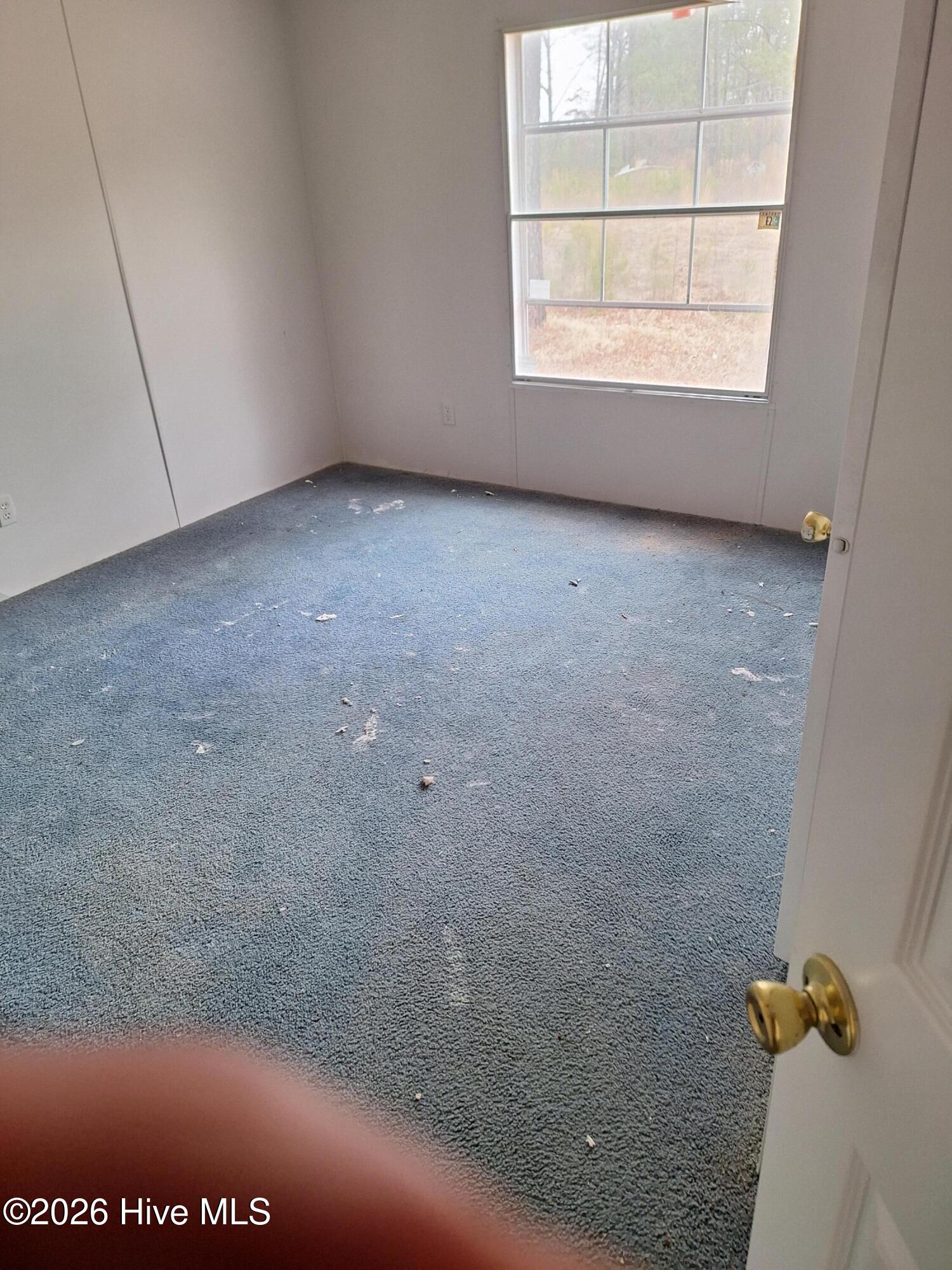 442 Mill Branch Church Road Property Photo 15