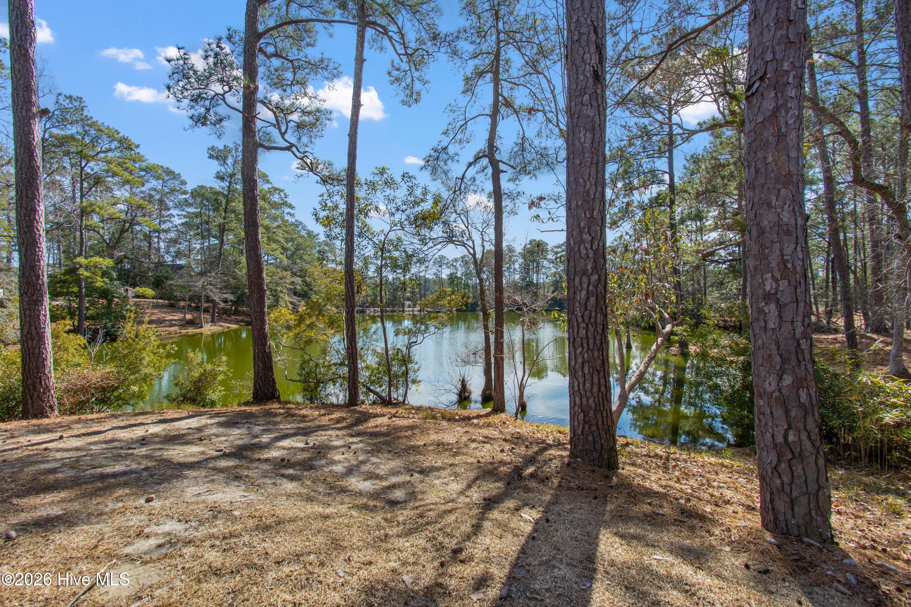 6509 Walden Pond Lane Property Photo 3