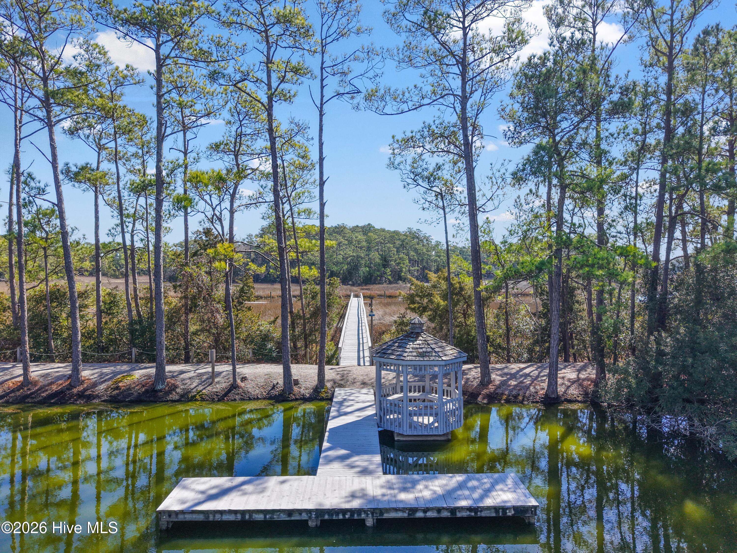 6509 Walden Pond Lane Property Photo 60