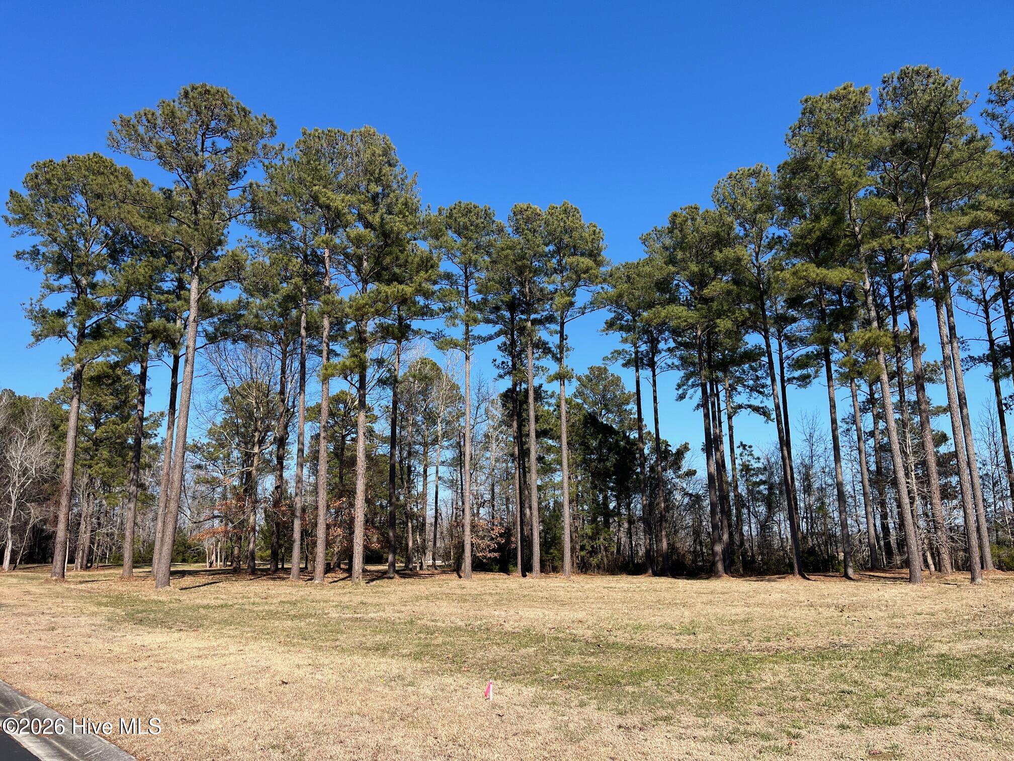 40 112 Currituck Court Property Photo 2