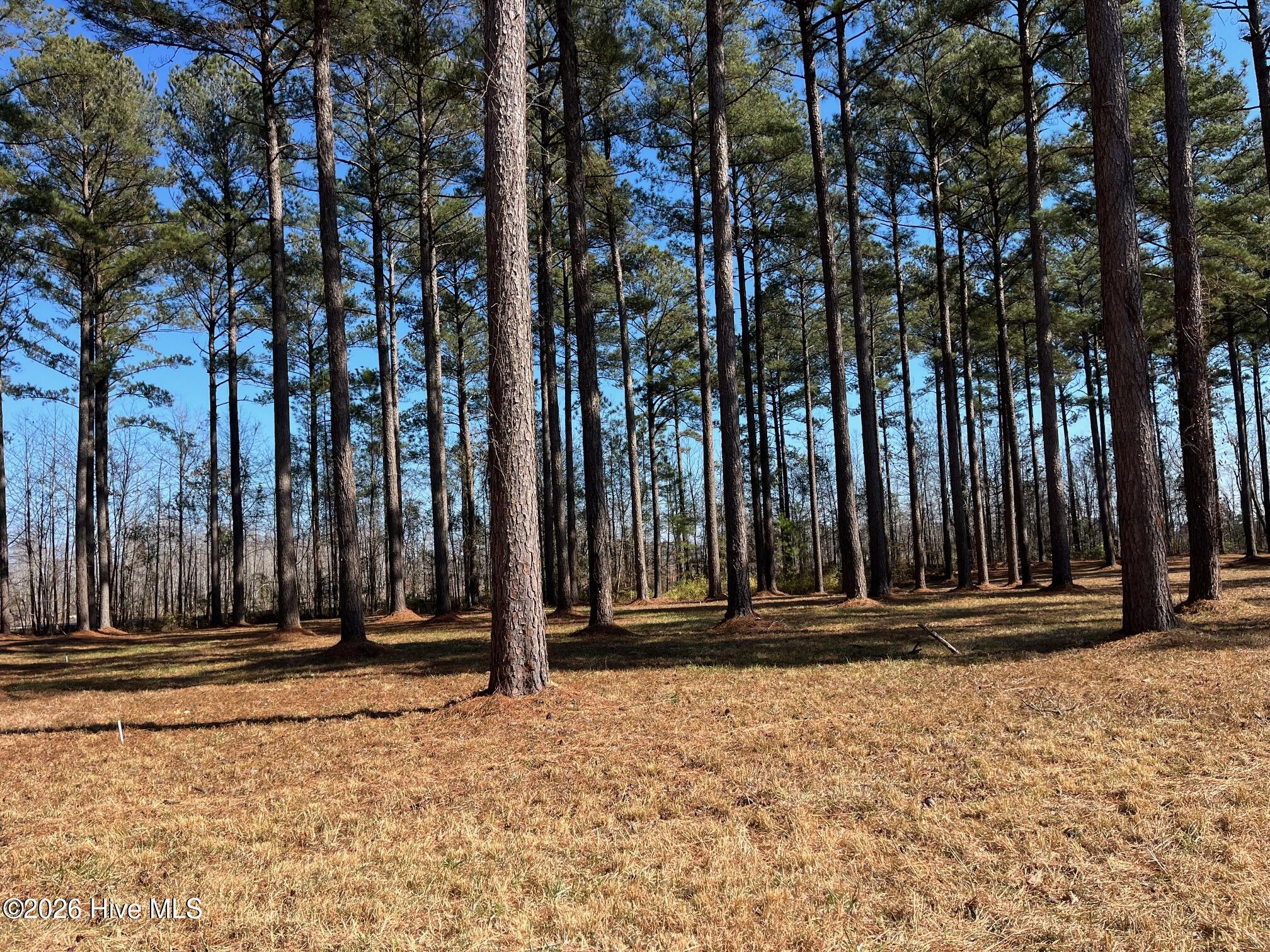 40 112 Currituck Court Property Photo 3