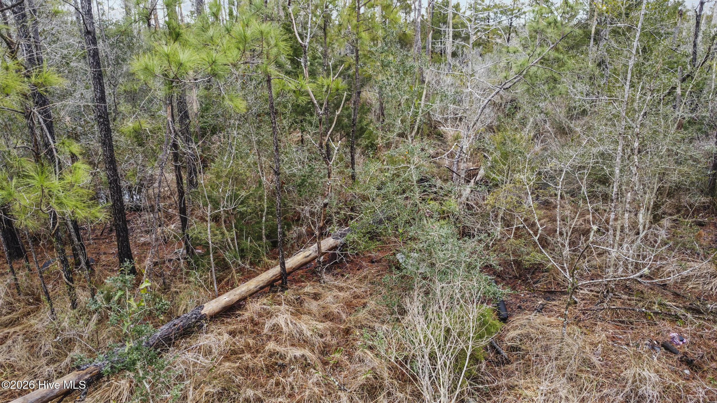 00 Old North River Road Property Photo 7