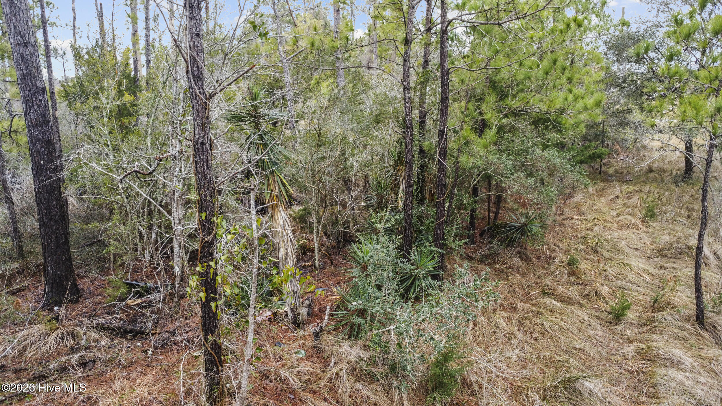 00 Old North River Road Property Photo 10