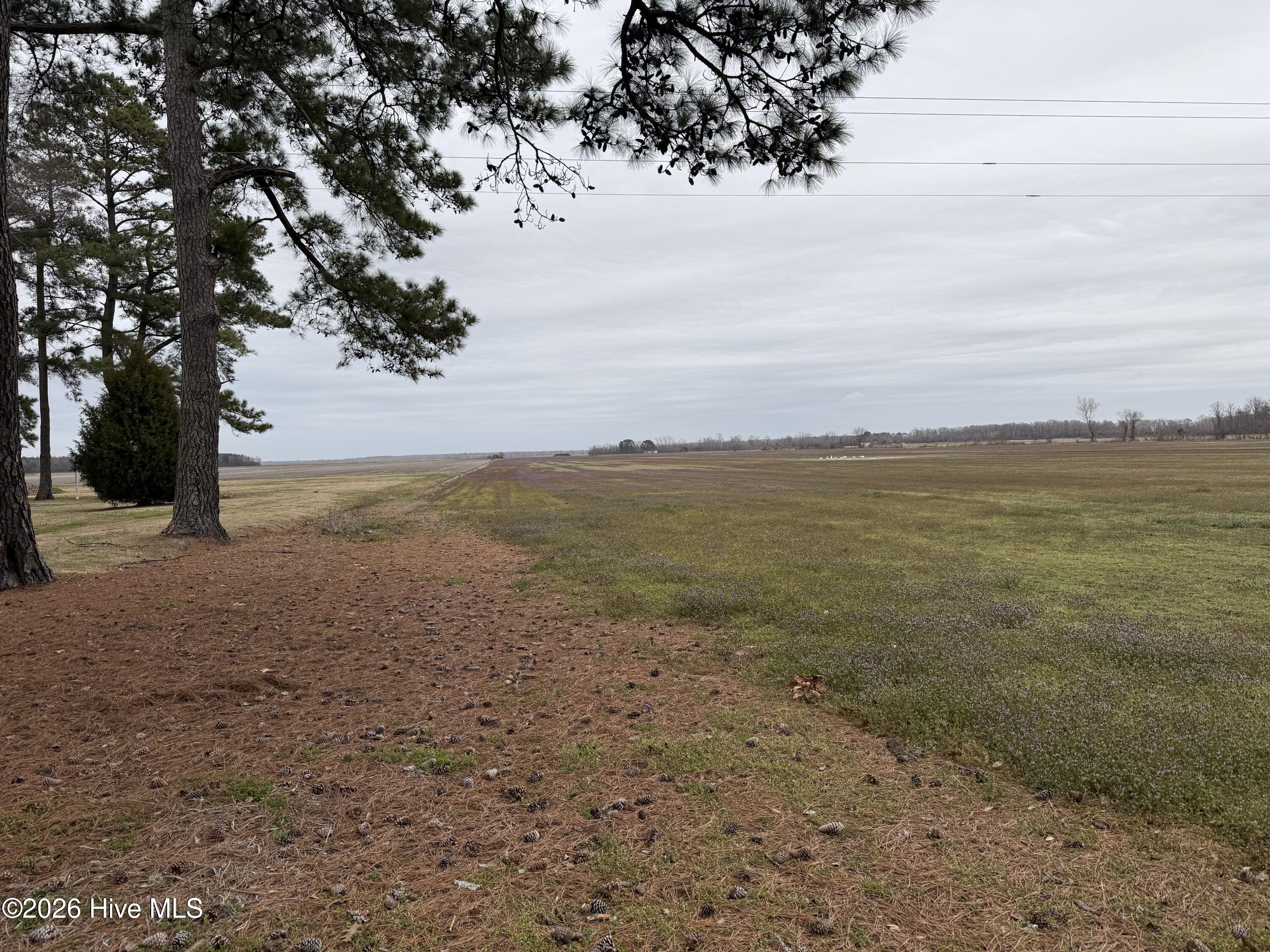 0 Nc 99 Property Photo 2