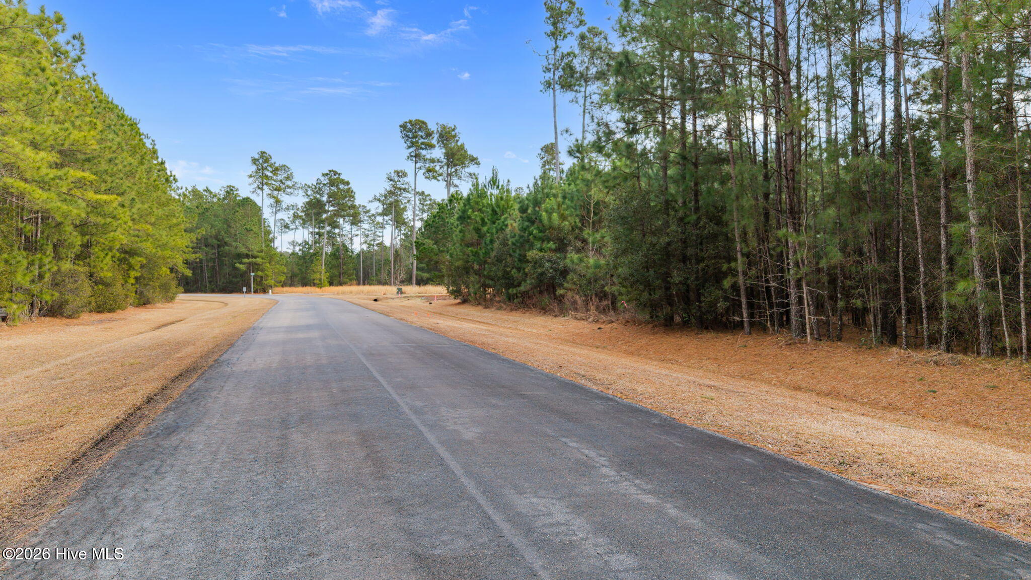 Lot 17 17 Bailey Pointe Drive Property Photo 10