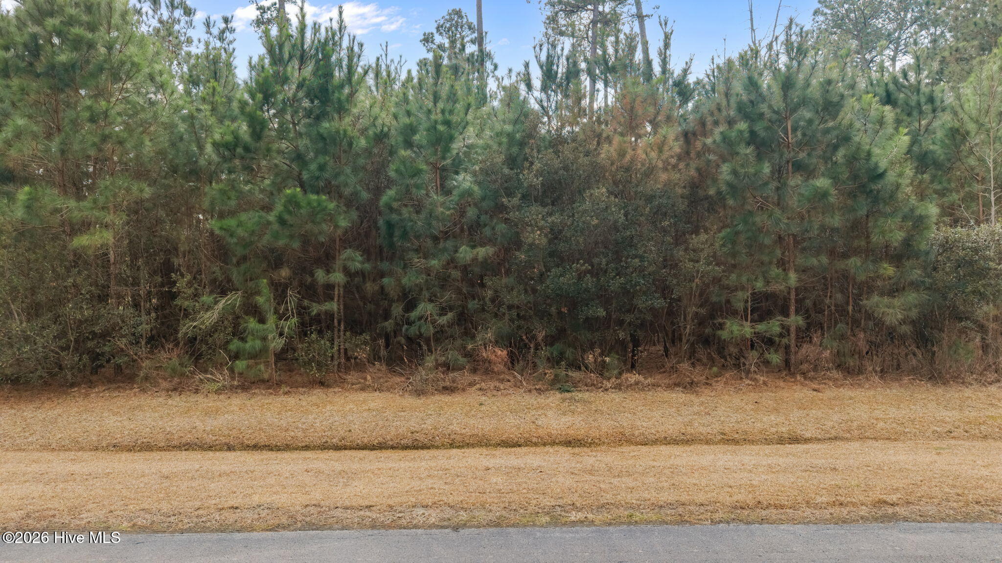 Lot 17 17 Bailey Pointe Drive Property Photo 11