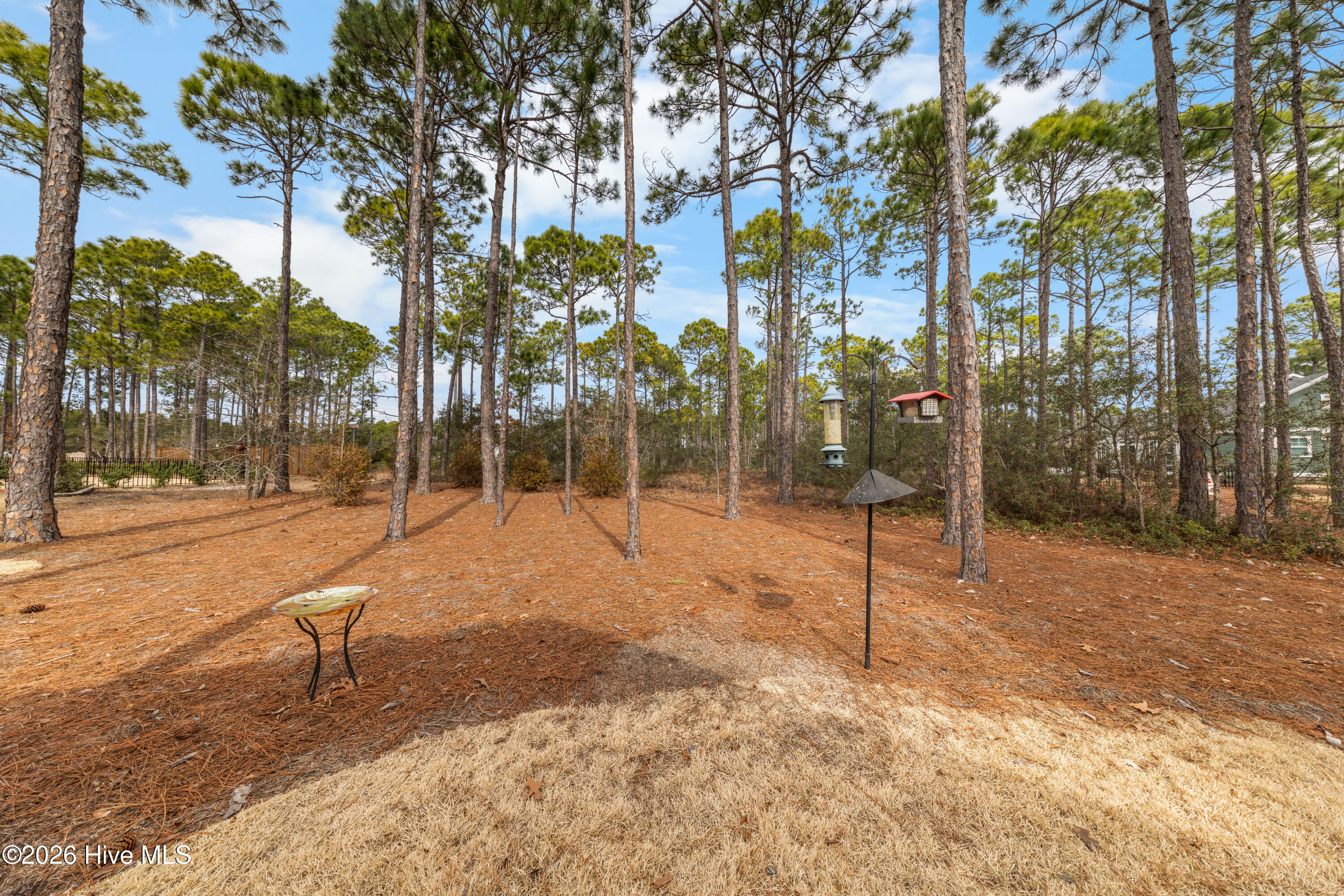 3574 White Spruce Glen Property Photo 18