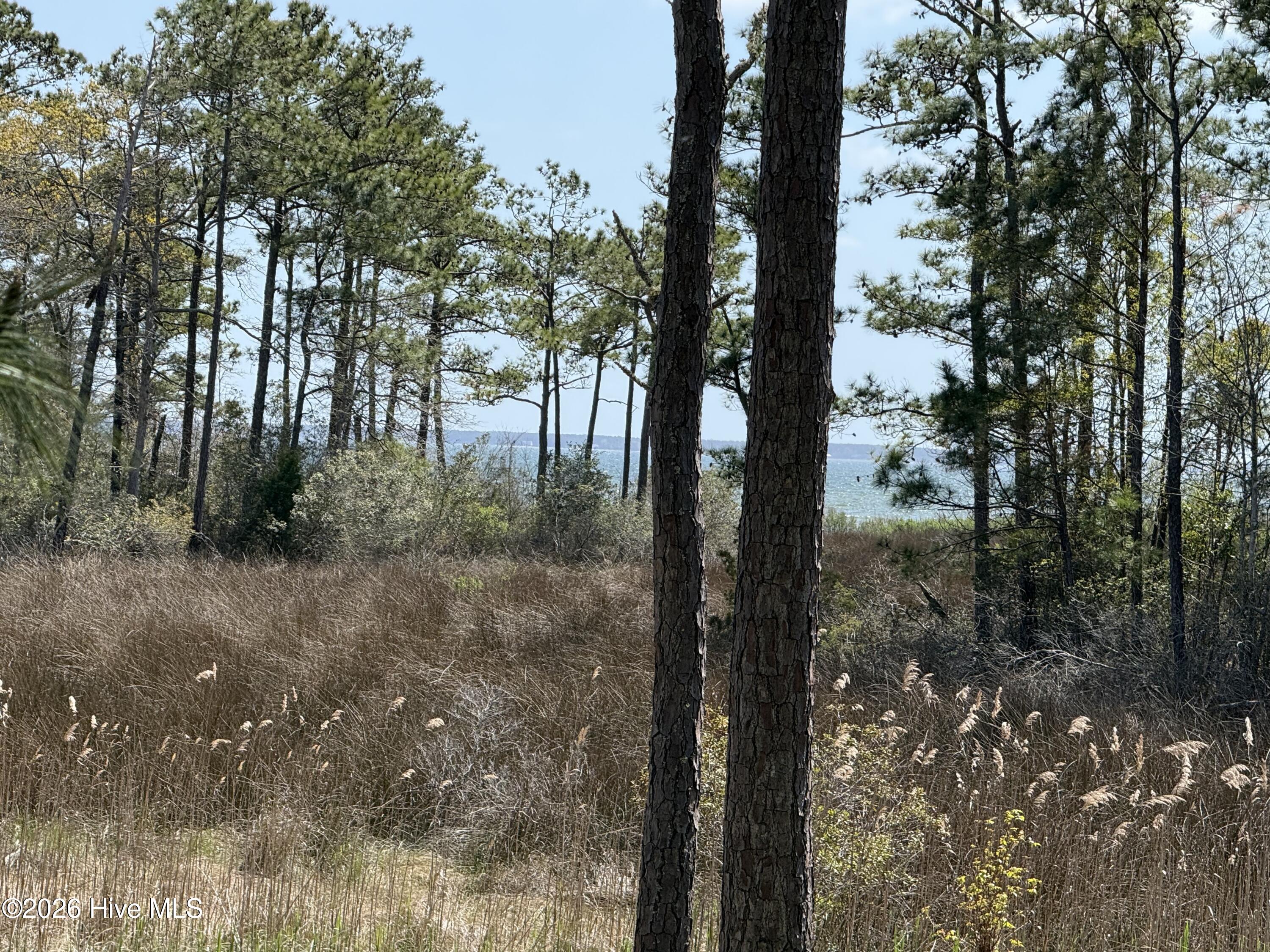 33 Neuse Winds Drive Property Photo 48