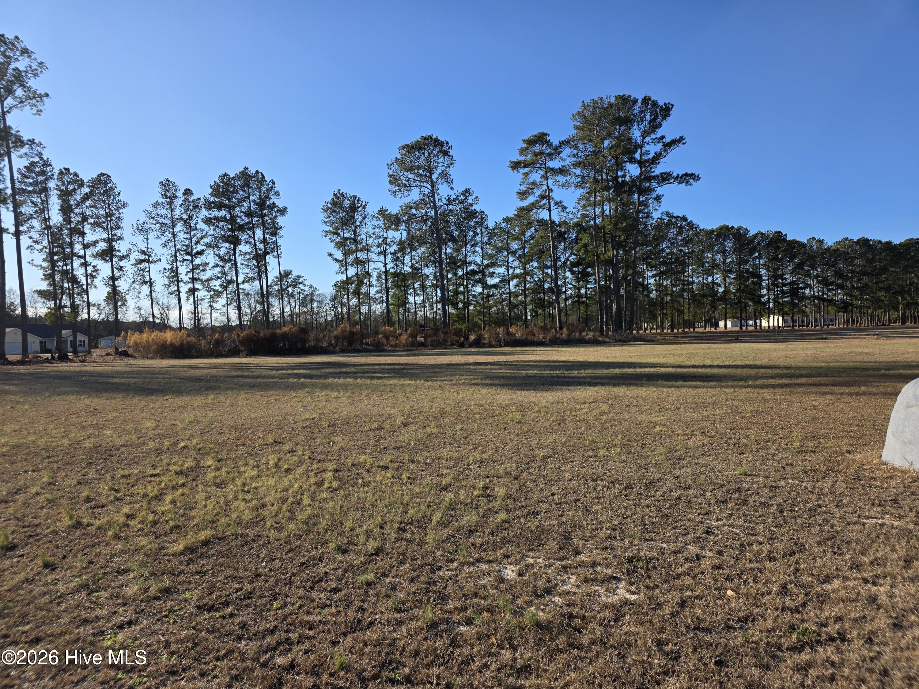 183 Ladybell Drive Property Photo 2