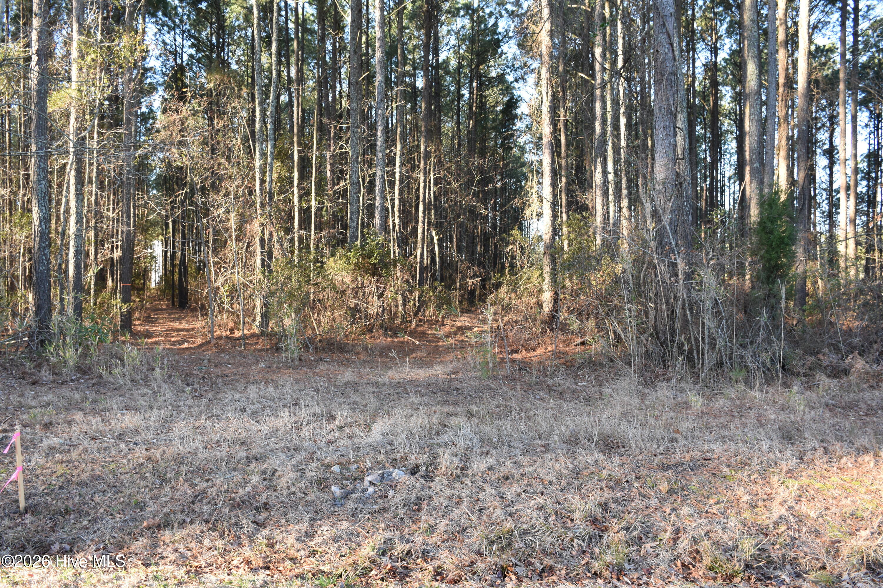 97 Mcgowan Road Property Photo 4
