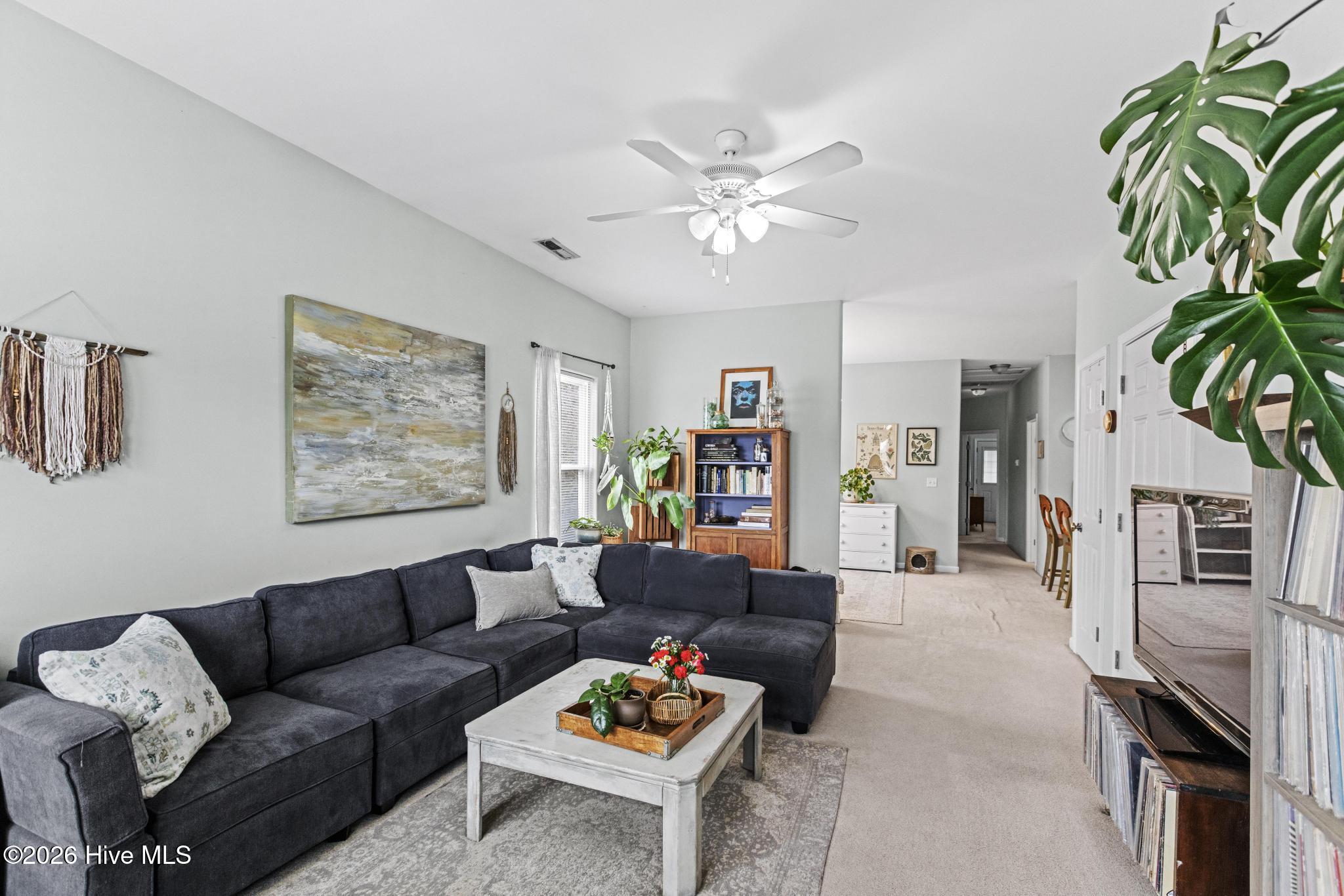 215/217 Lloyd Street Property Photo 2