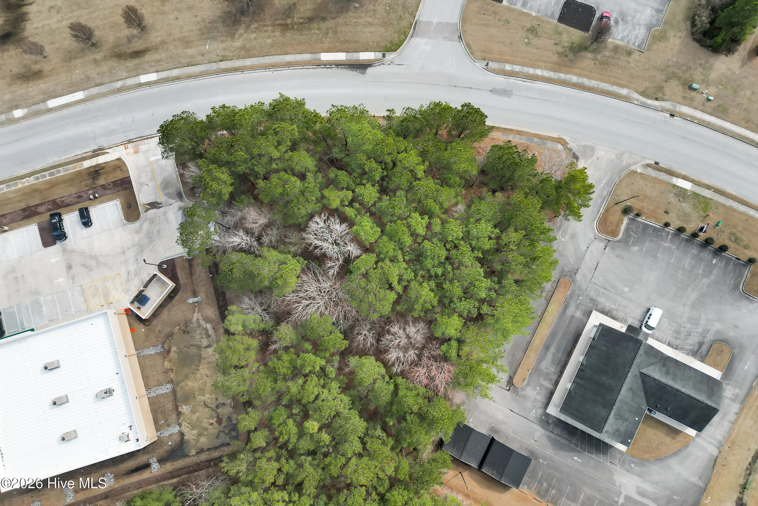 134 Williamsburg Parkway Property Photo 6