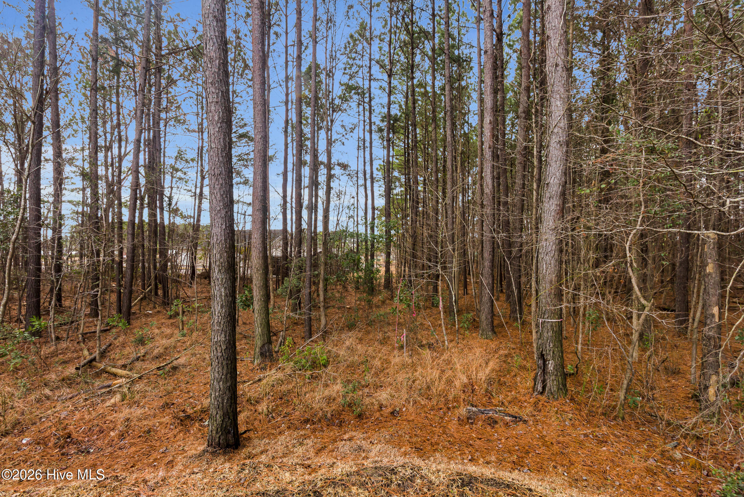 134 Williamsburg Parkway Property Photo 11