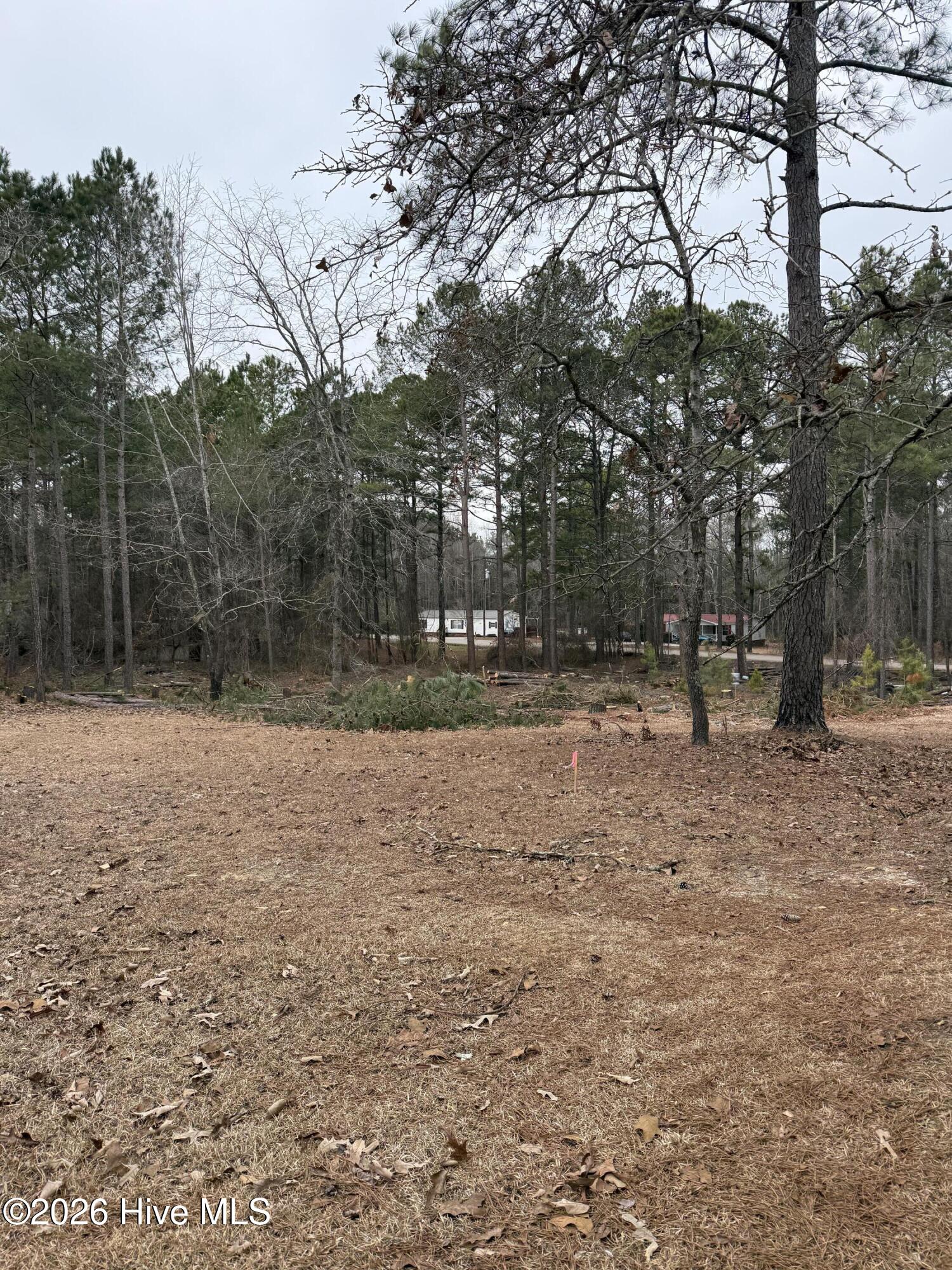 108 Richfield Court Property Photo 23