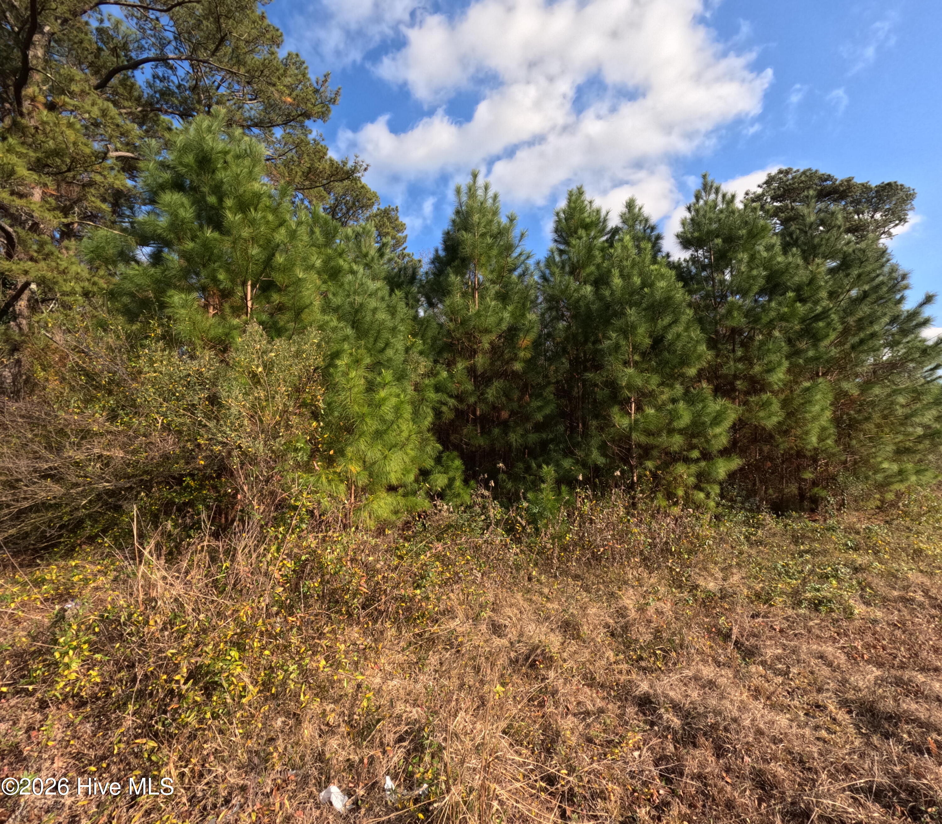 353 Piney Green Road Property Photo 5