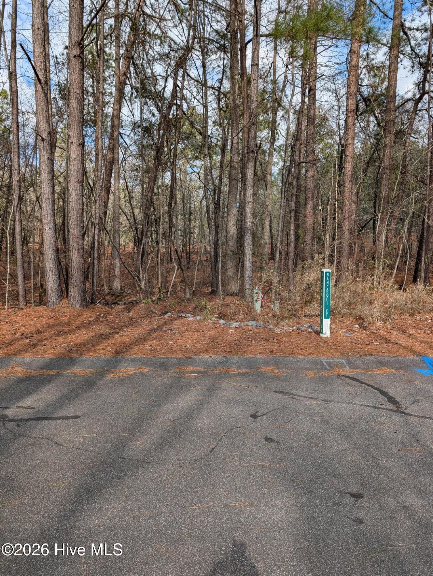 102 Bancroft Court Property Photo 3