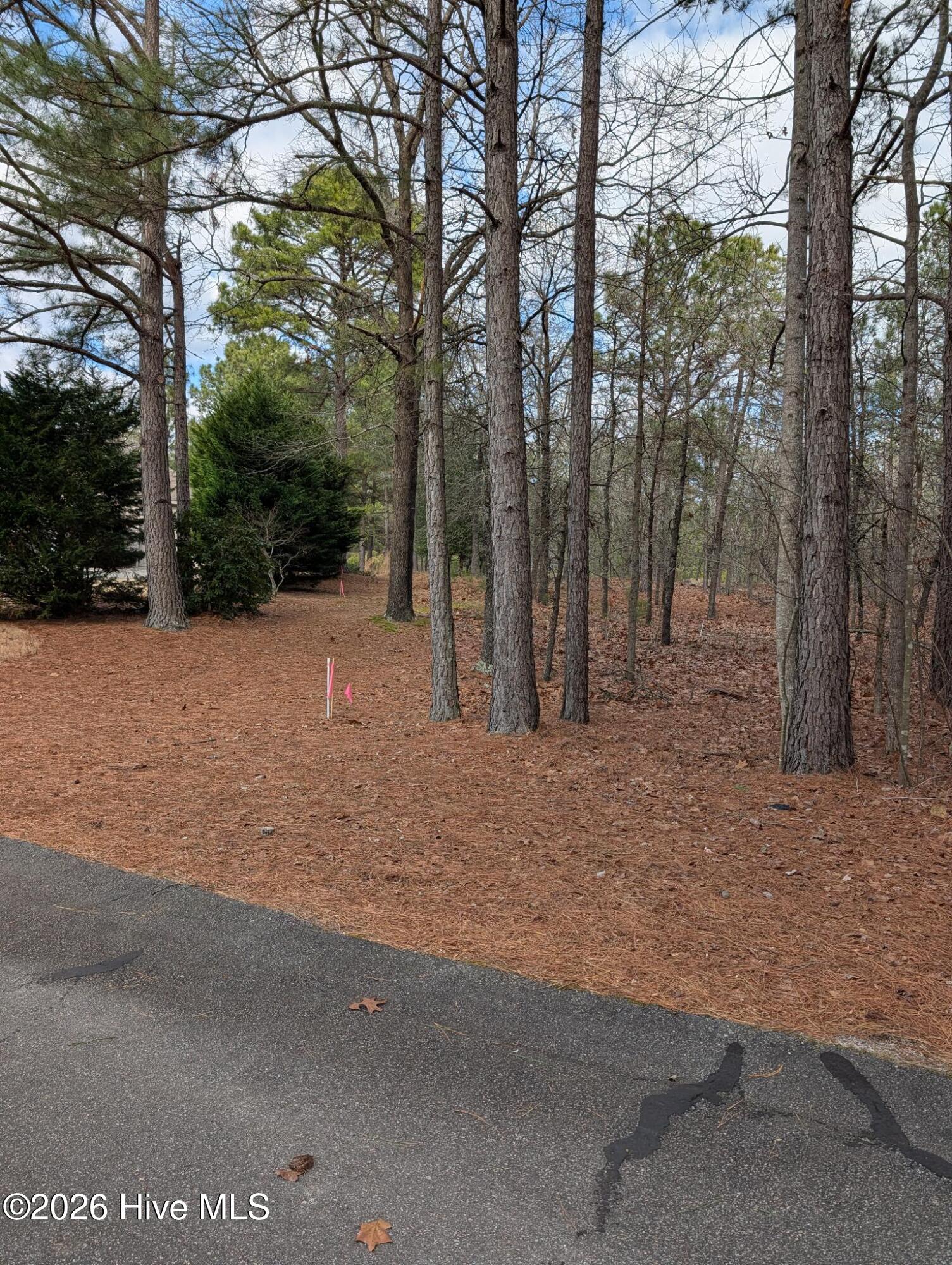 102 Bancroft Court Property Photo 7