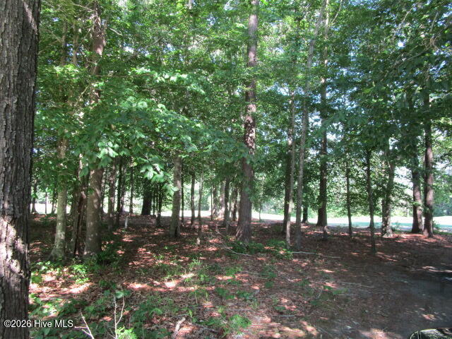 Lot 1 1 Roanoke Drive W Property Photo 2
