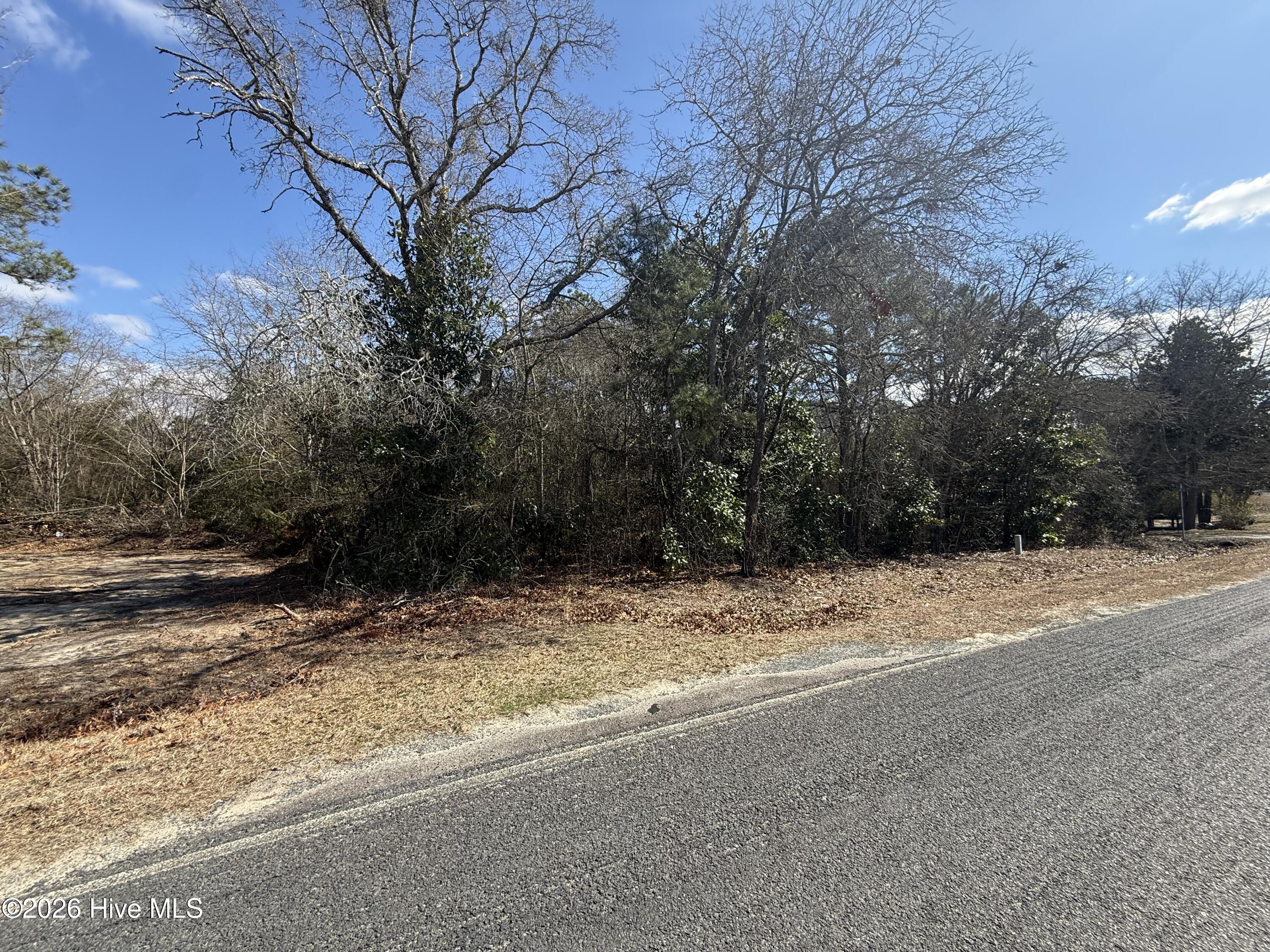 Tbd Mary Wall Road Property Photo 1