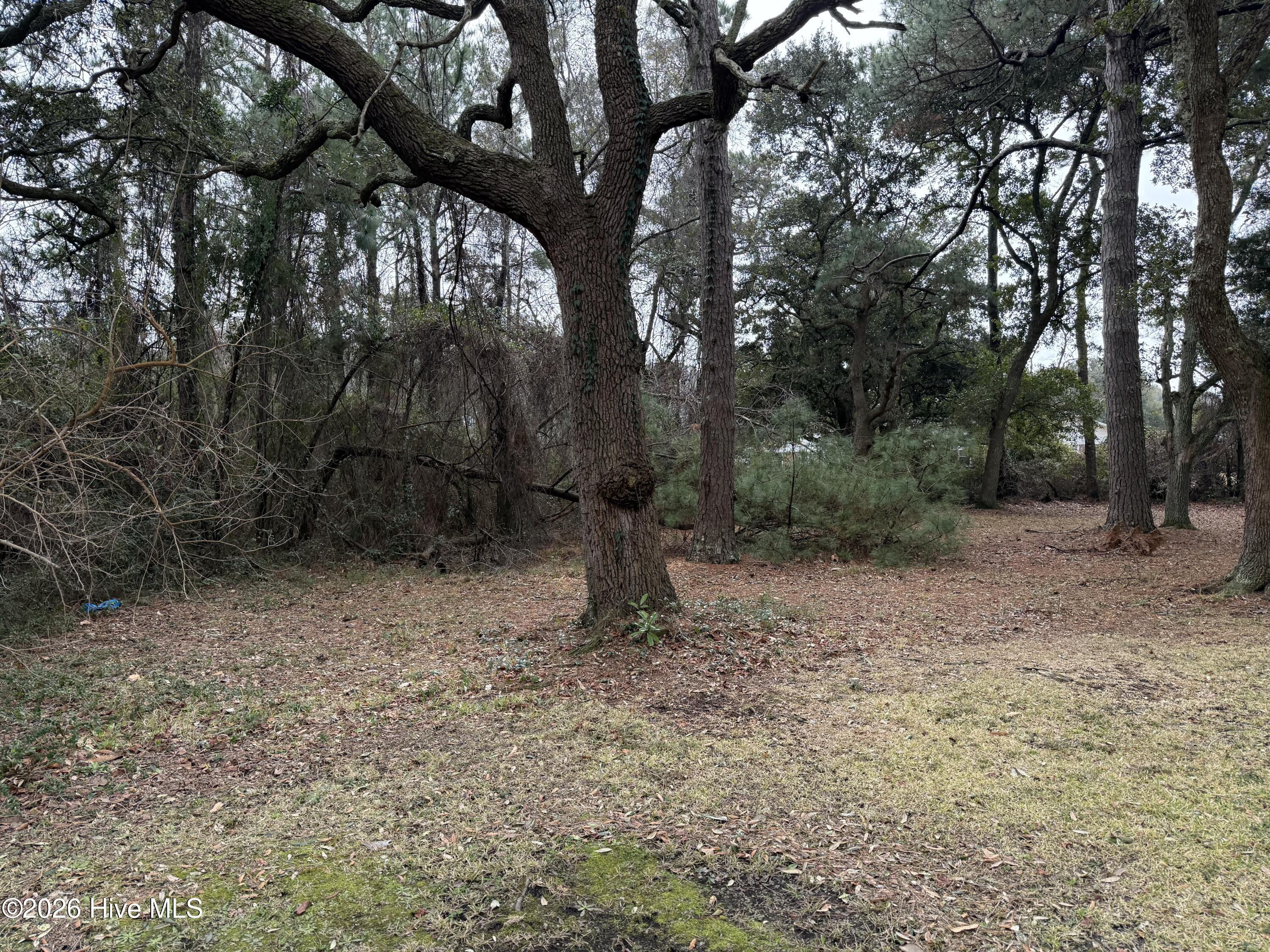 116 Willow Street Property Photo 2