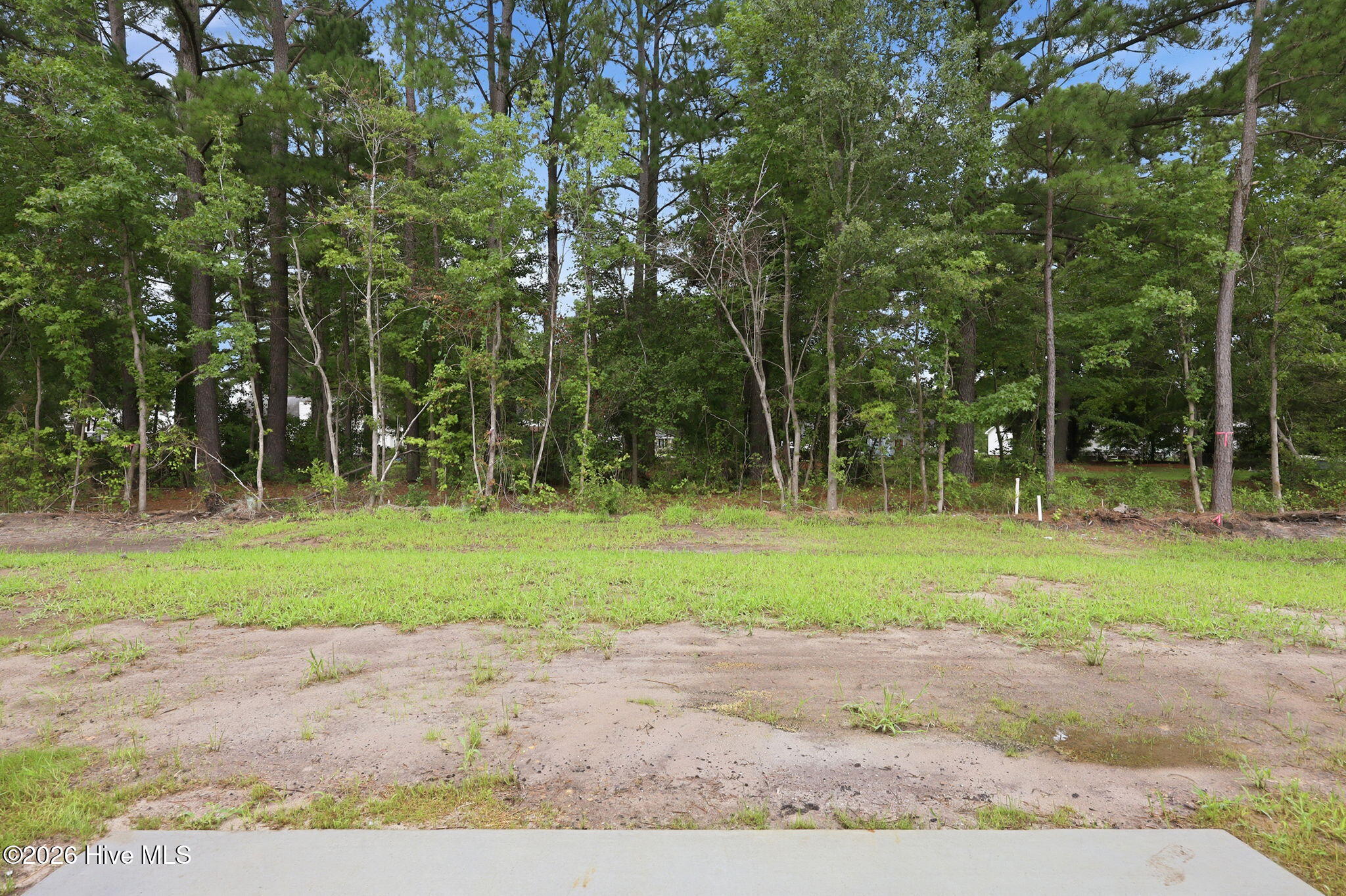 2329 Rhinestone Drive Property Photo 41