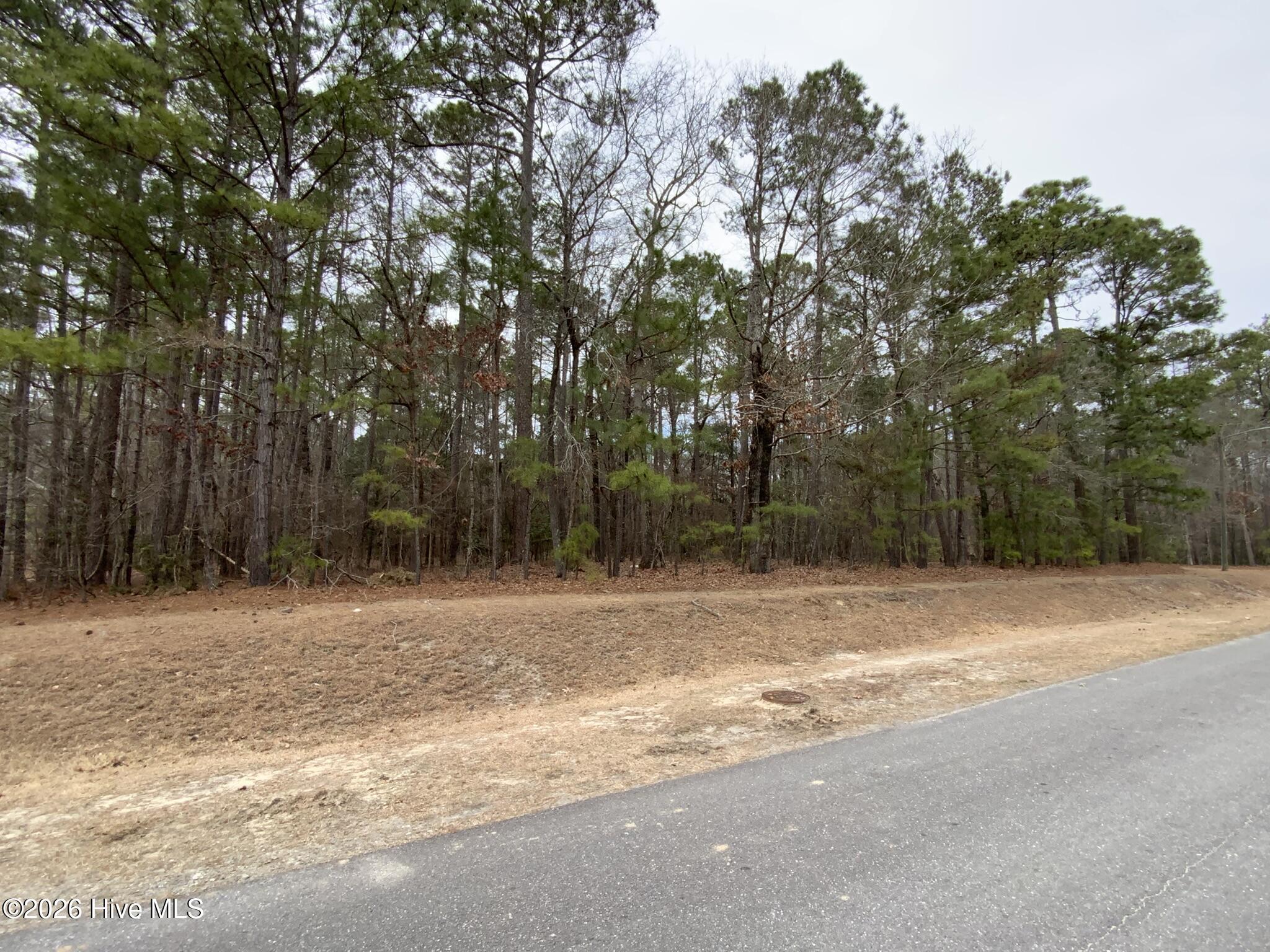 101 Long Leaf Lane Property Photo 1