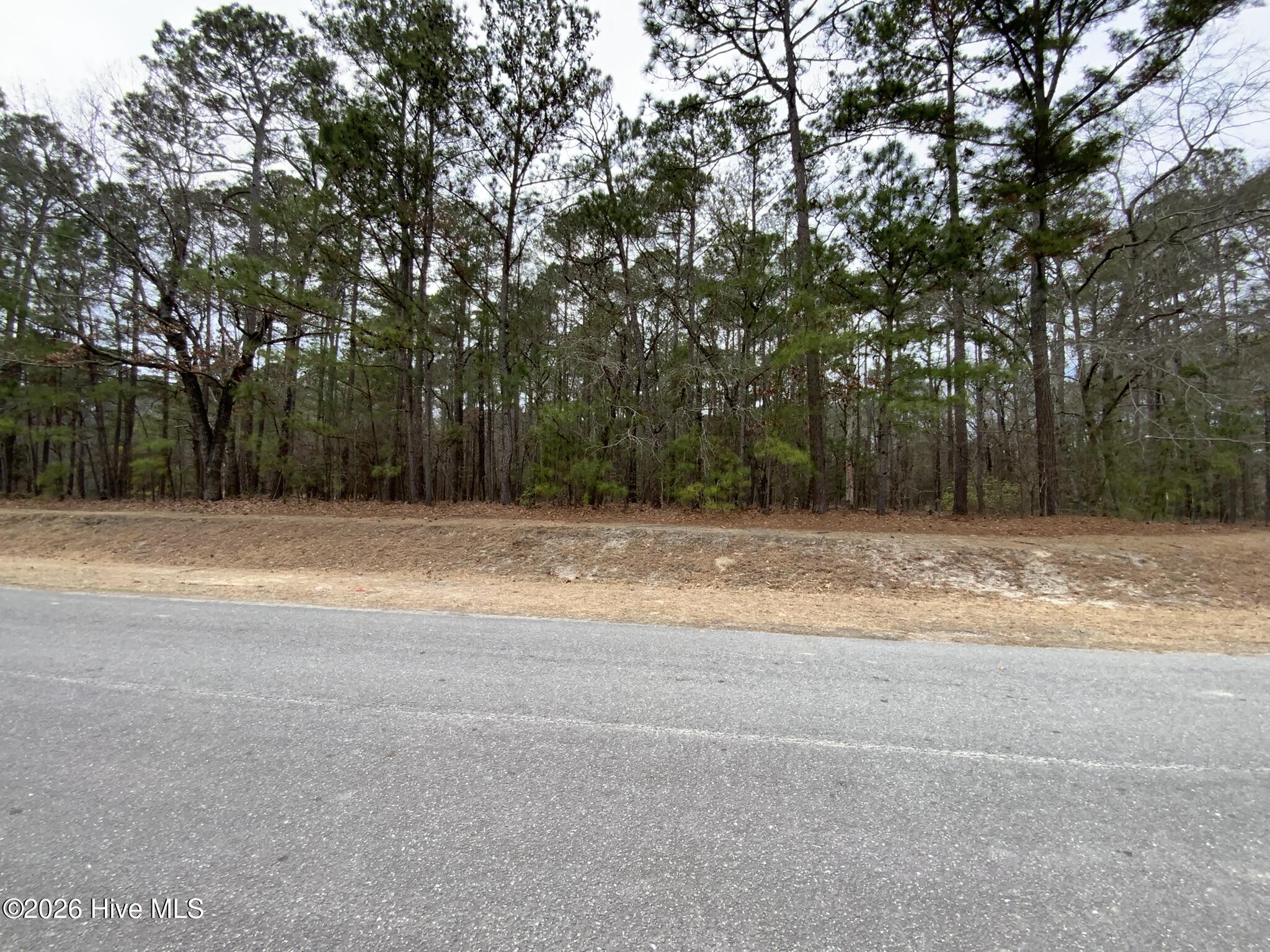 101 Long Leaf Lane Property Photo 2