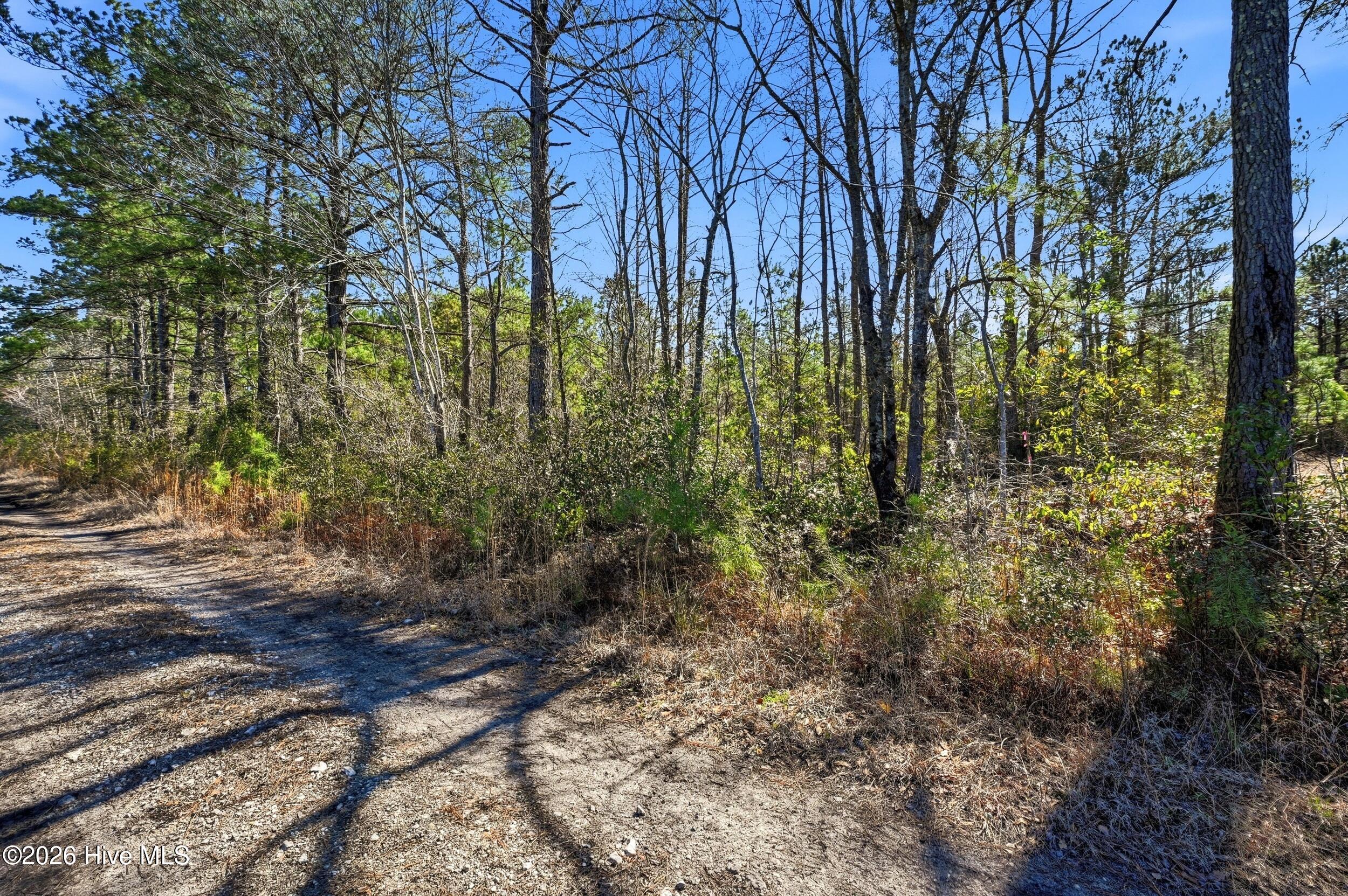 15460 Nc-210 Property Photo 5