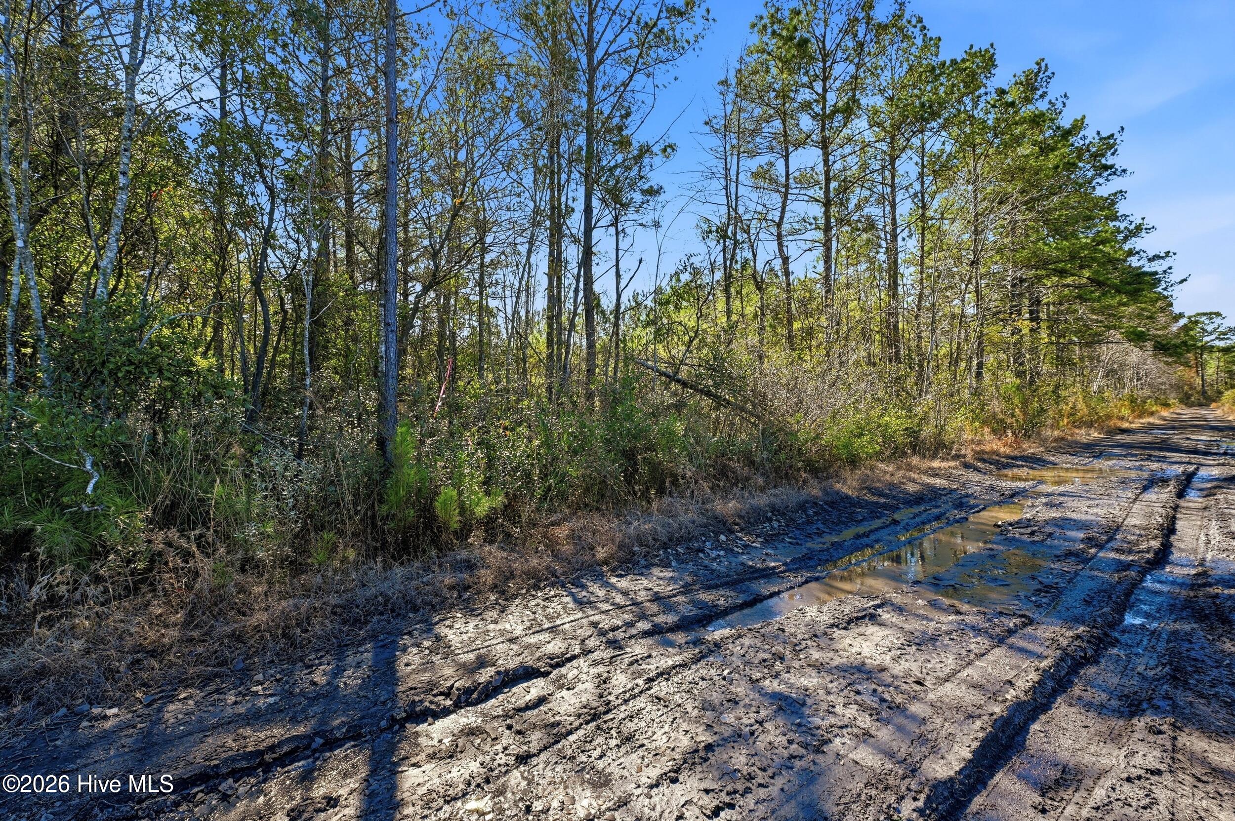 15460 Nc-210 Property Photo 6