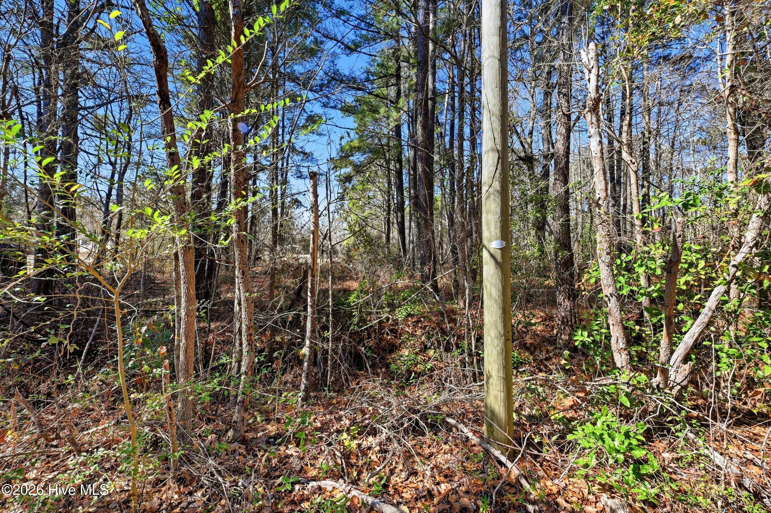 15460 Nc-210 Property Photo 7
