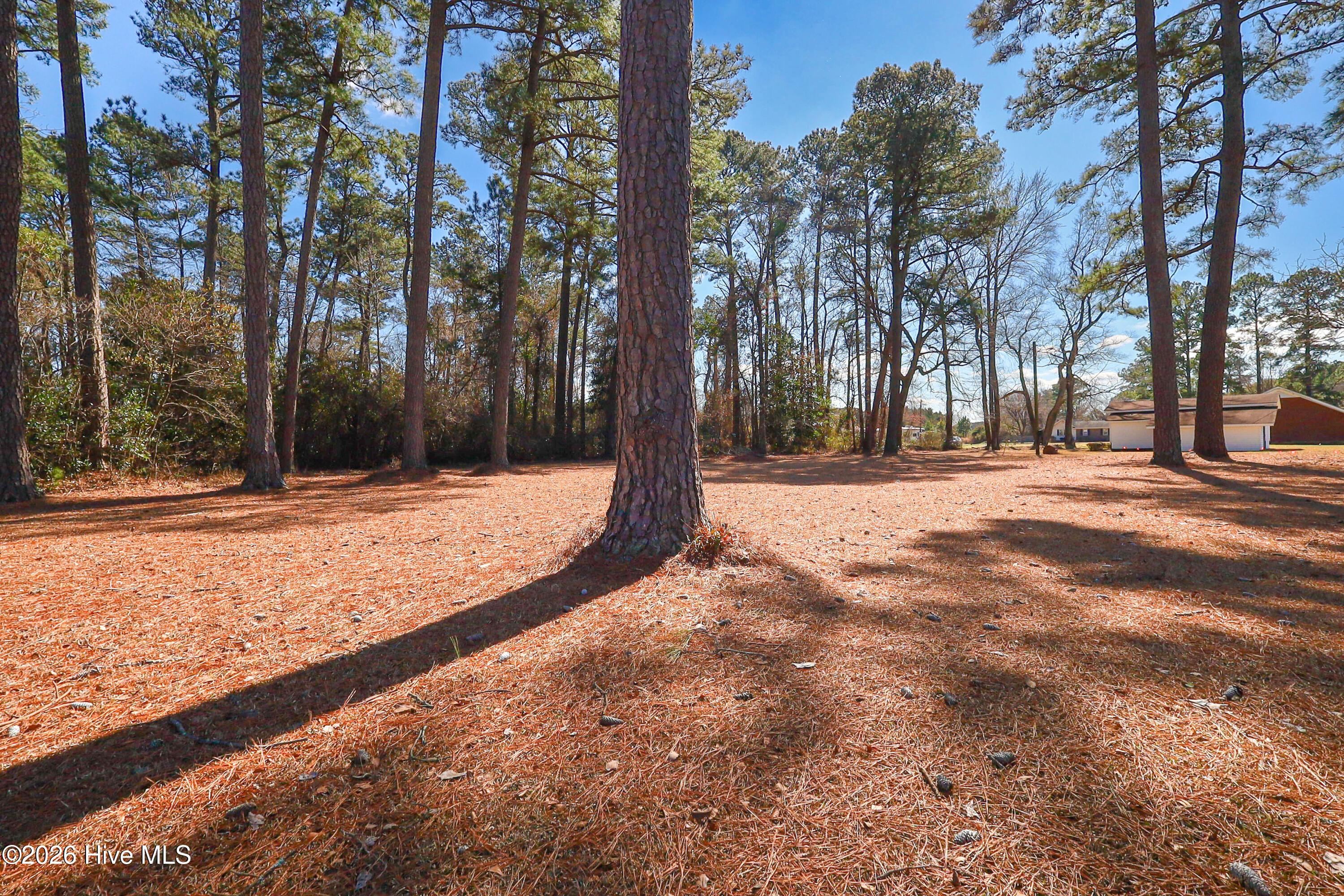 580 Koonce Fork Road Property Photo 50