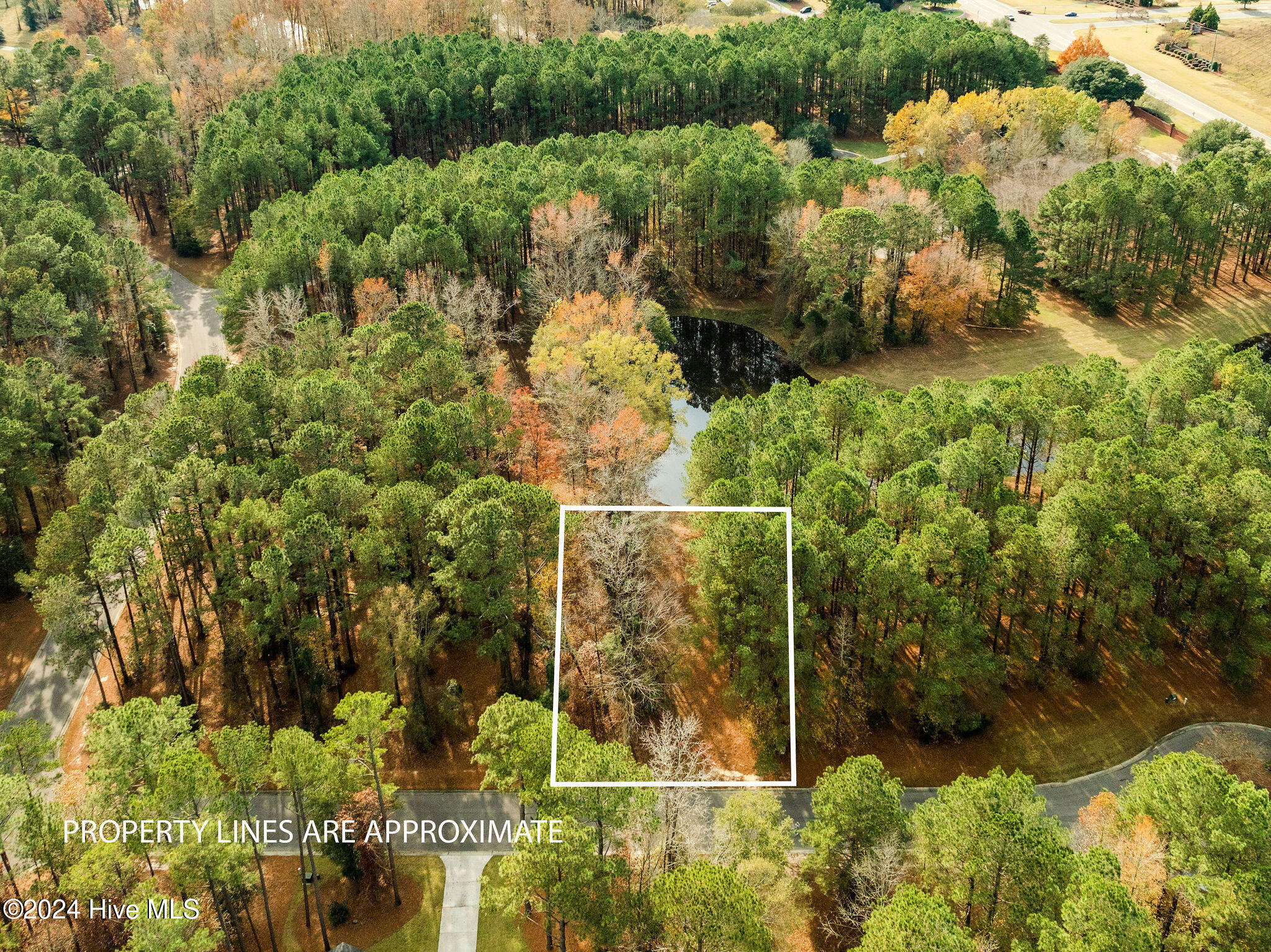 111 Loblolly Court Property Photo 1