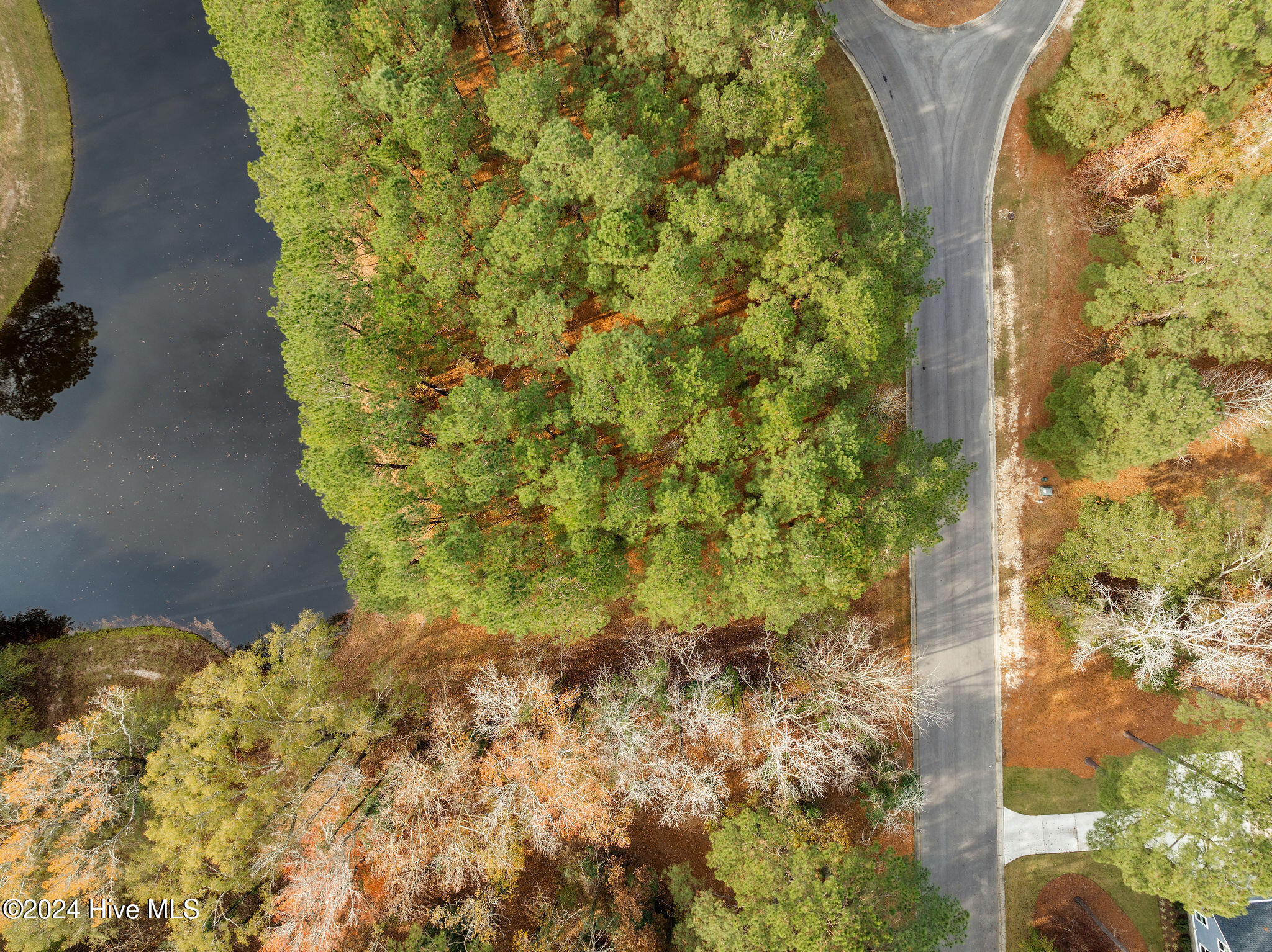 111 Loblolly Court Property Photo 4